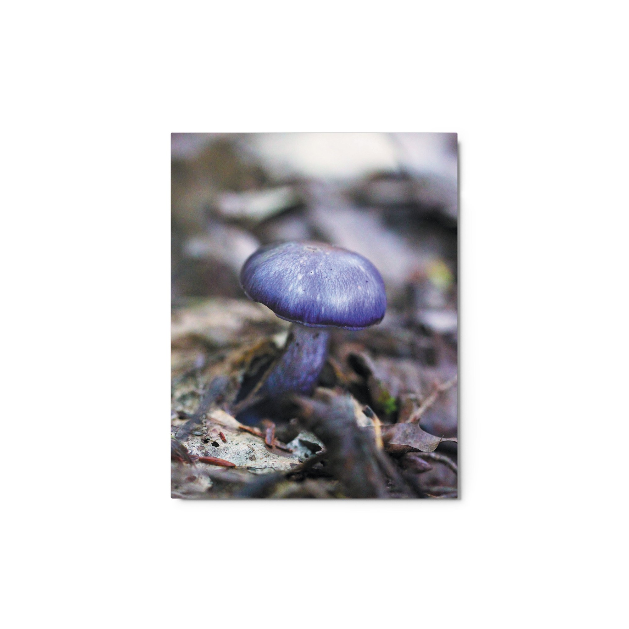 glossy-metal-print-(in)-white-11x14-front-671ab2d0146f9.jpg