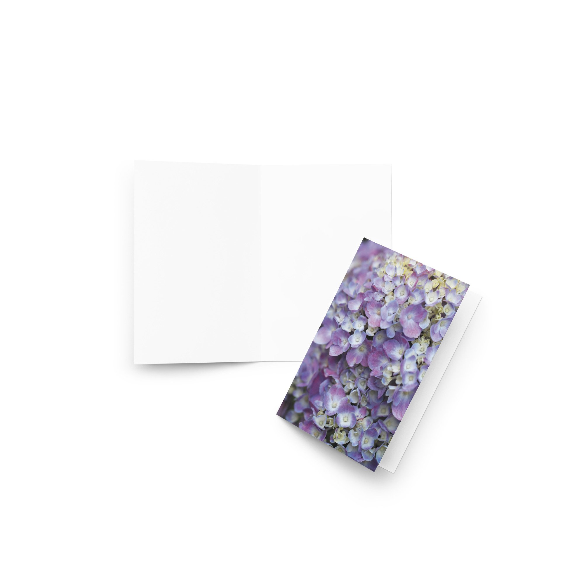 greeting-card-4x6-front-69d3119a26b66.jpg