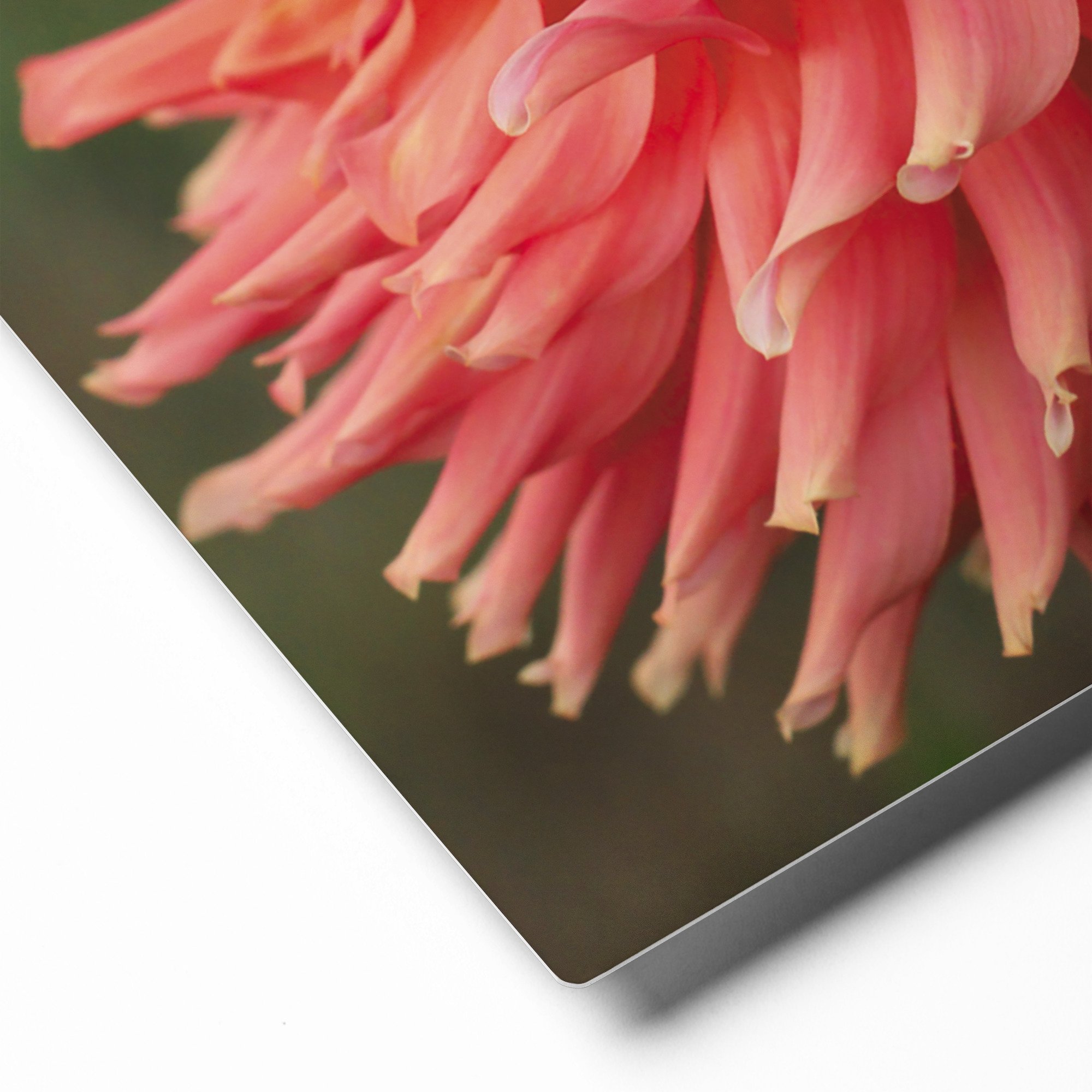 glossy-metal-print-(in)-white-16x20-product-details-671acff918e6d.jpg