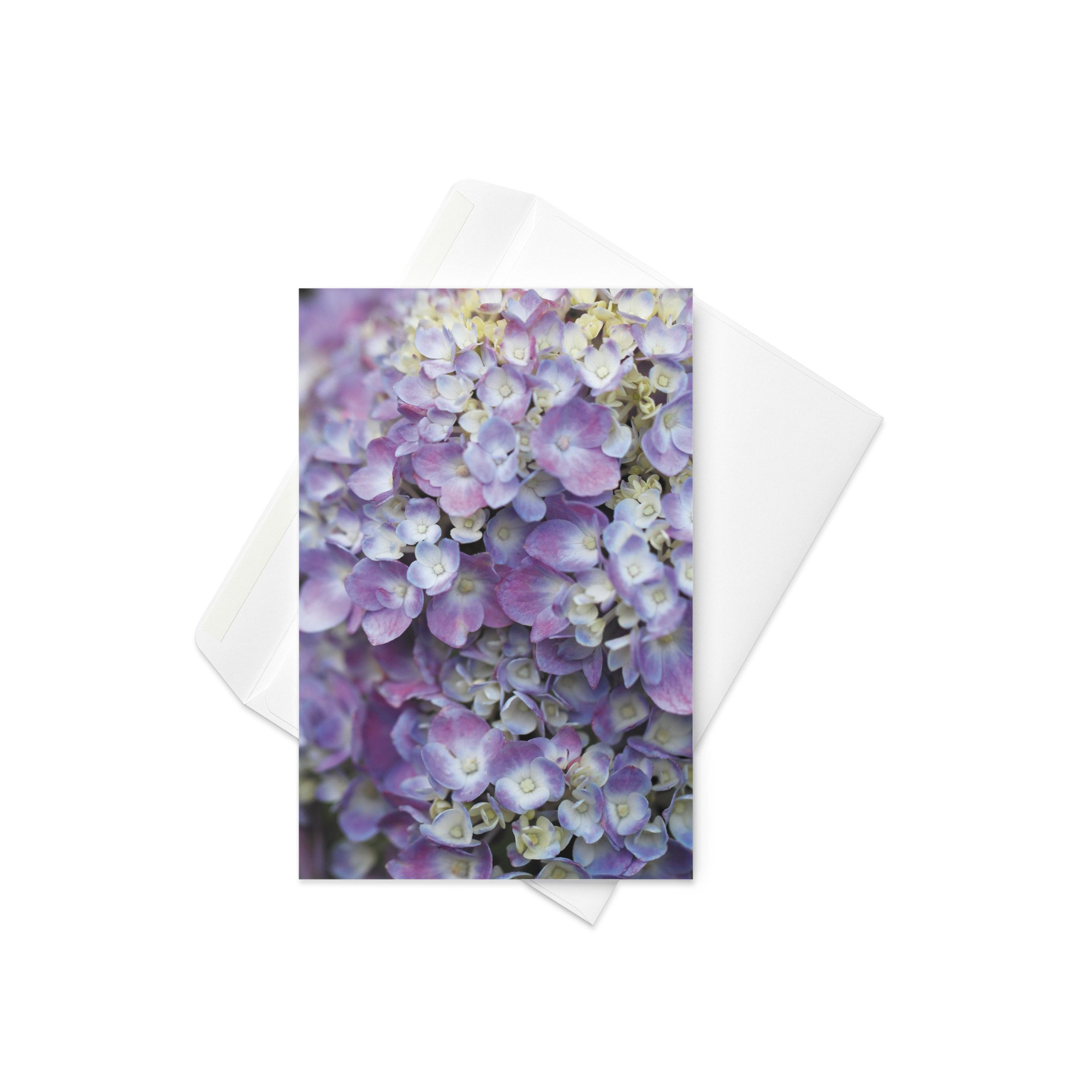 greeting-card-4x6-front-69d3119a26d90.jpg