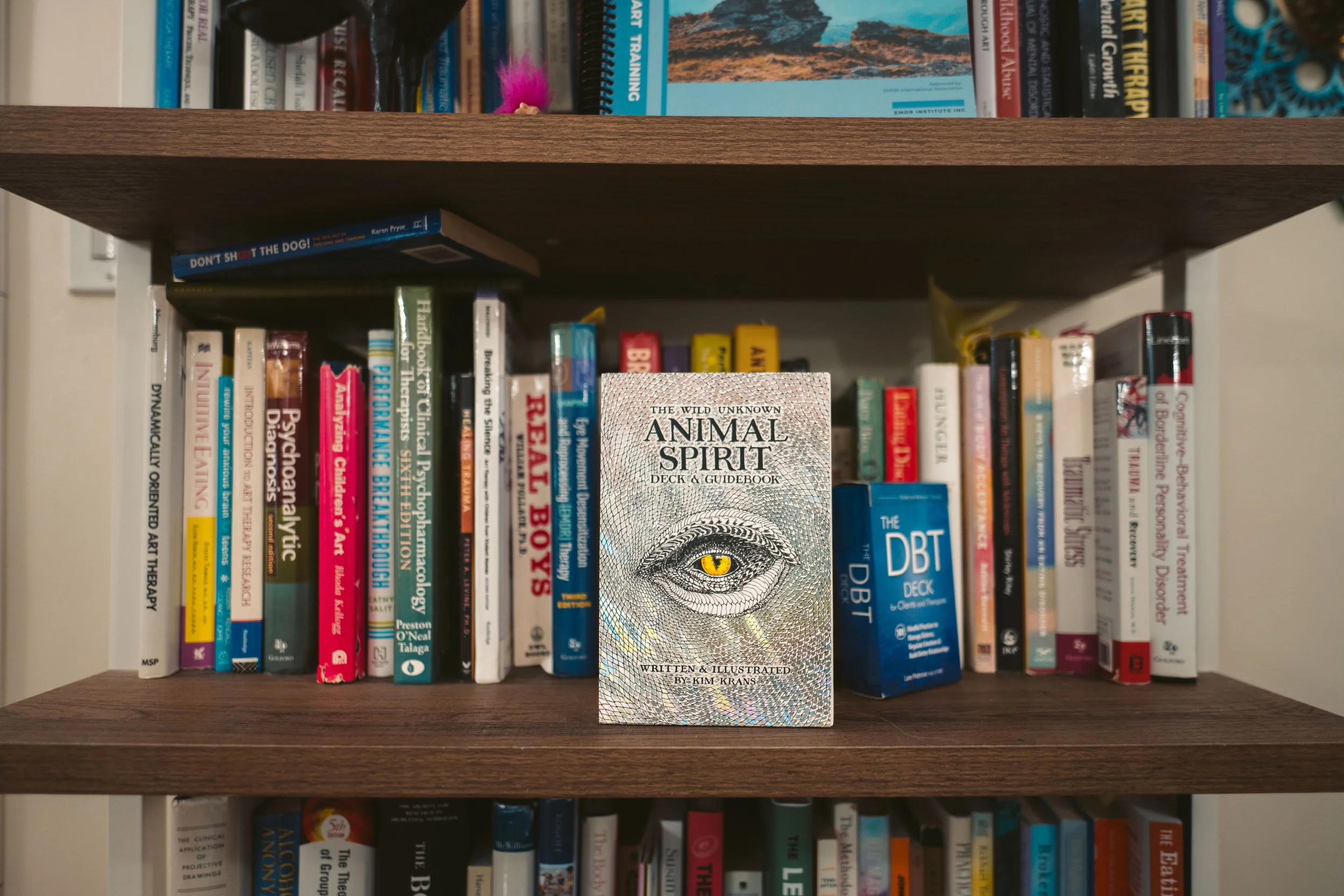 A wooden bookshelf with various books, a pink fuzzy toy, and a small blue box labeled 'The DBT Deck'. In front of the books, there is a booklet titled 'Animal Spirit' featuring an eye illustration on the cover.