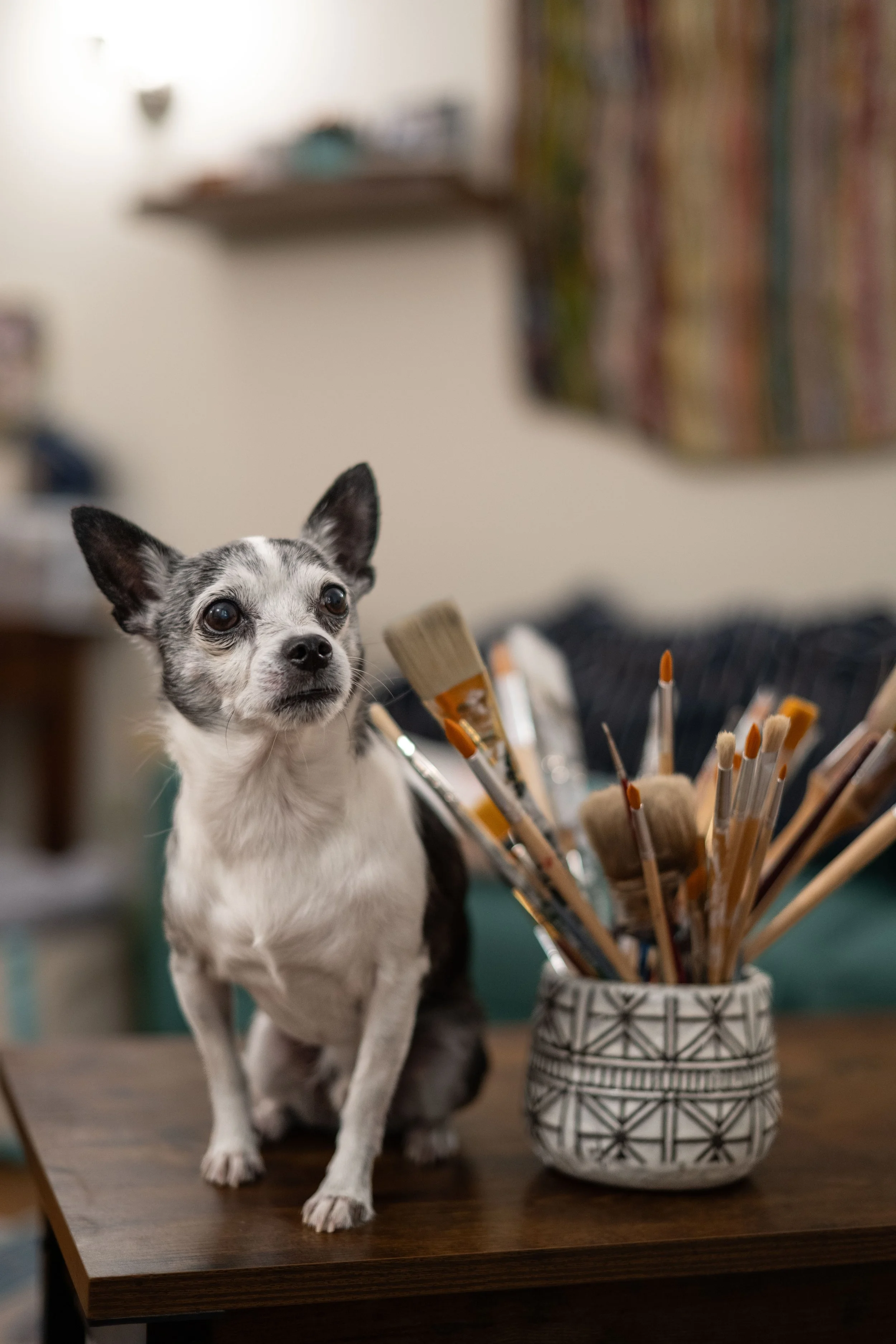 Abby Bramnick, Manhattan Art Therapist and Pet Loss Therapist, with a small black and white dog sitting on a wooden table next to a ceramic container filled with paintbrushes.