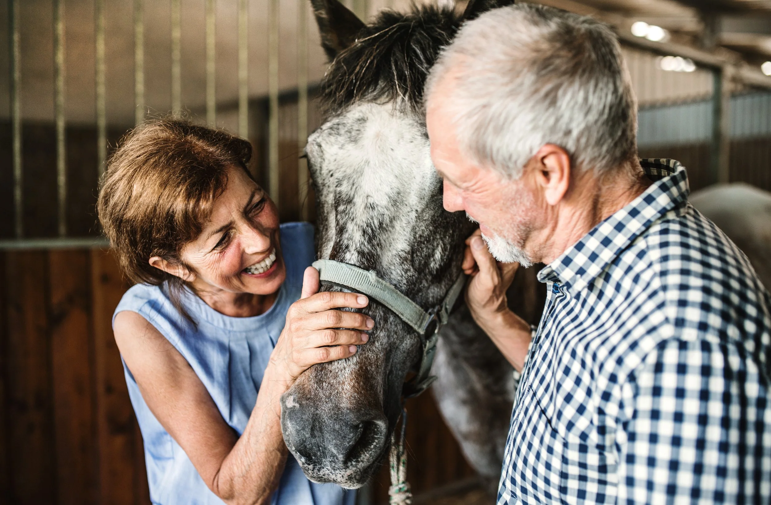 Discover Horses: hands-on horsemanship for all ages