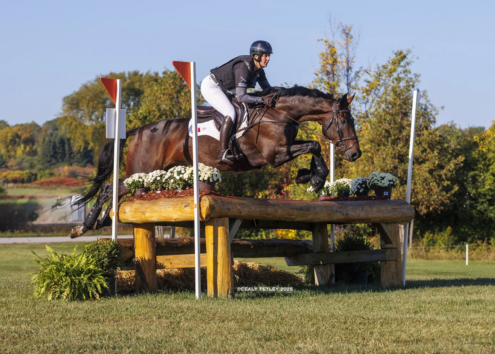 Eventing at The Parks CCI2* &amp; CCI1*