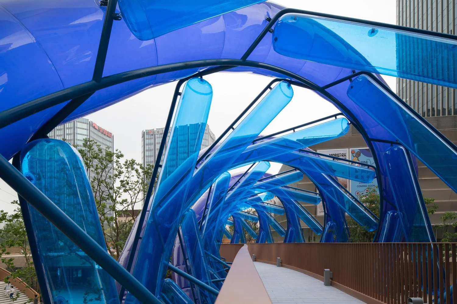 Light Vortex Bridge — PAO