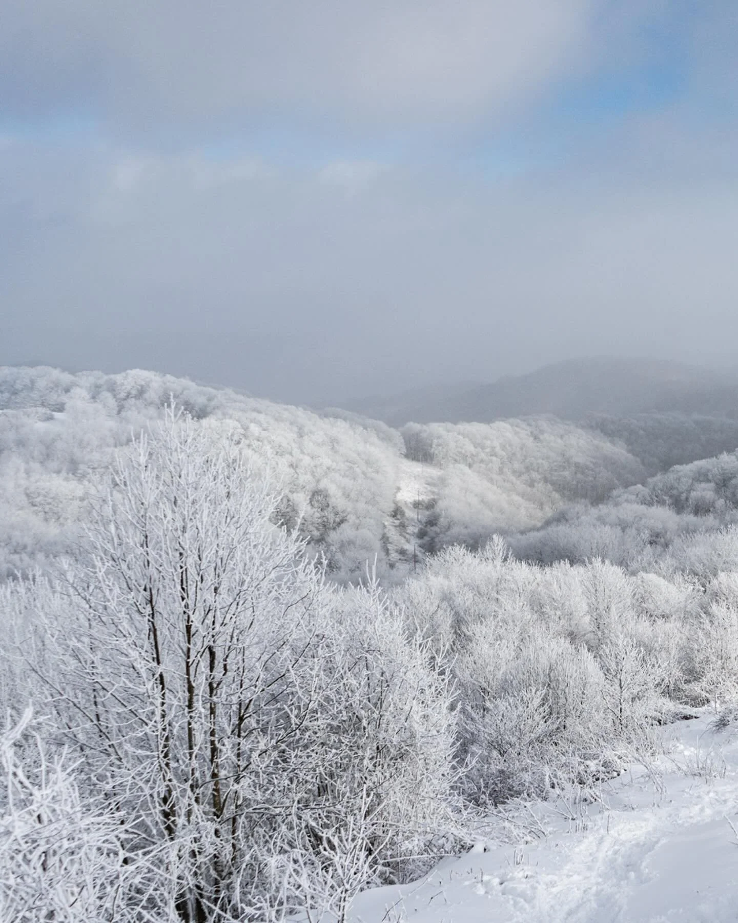 &rdquo;He sends his command to the earth; his word runs swiftly. He spreads the snow like wool and scatters the frost like ashes. He hurls down his hail like pebbles. Who can withstand his icy blast? He sends his word and melts them; he stirs up his 