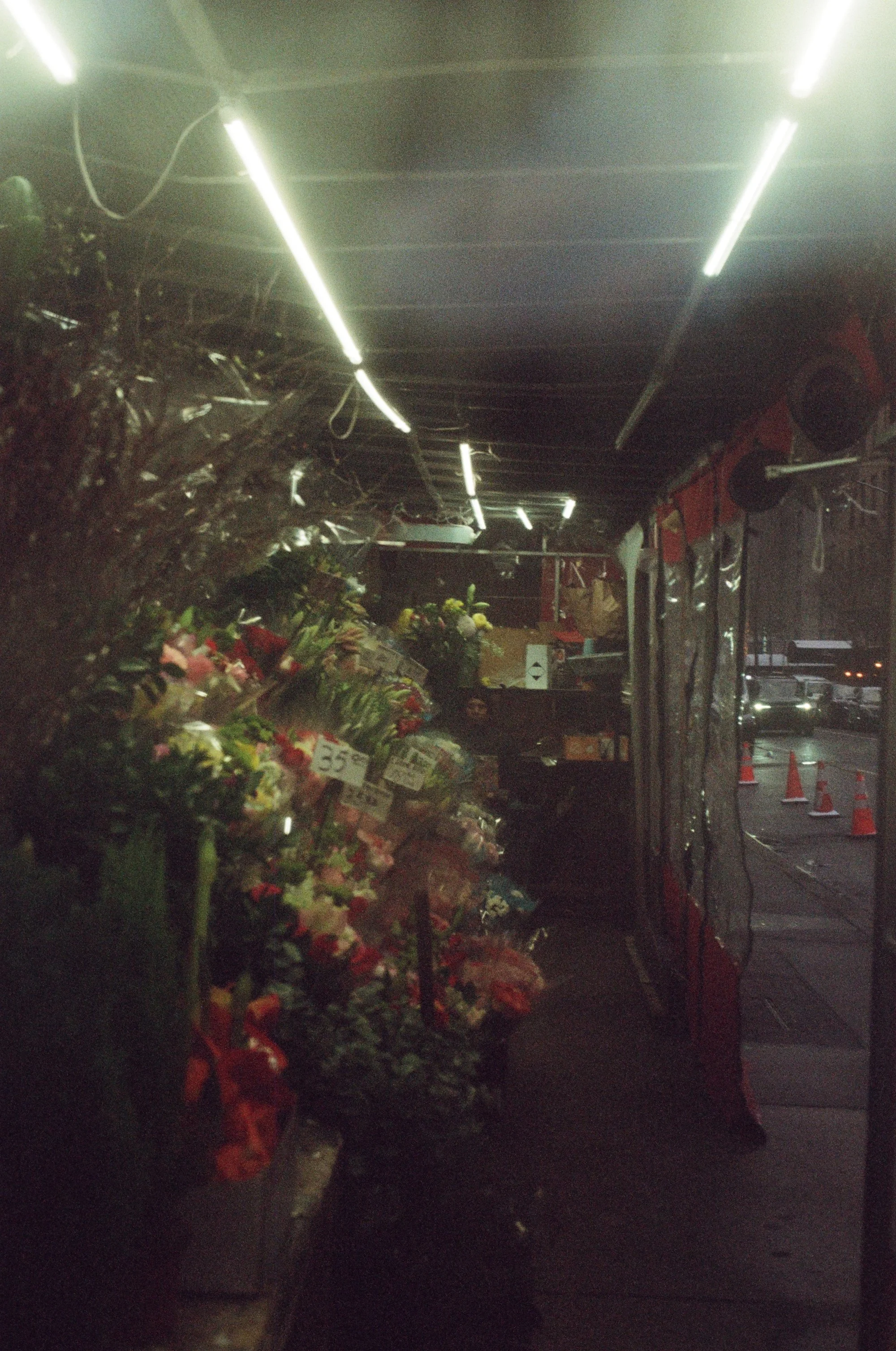 kodak_professional_portra_800_01_08_2025_000207930010.jpg