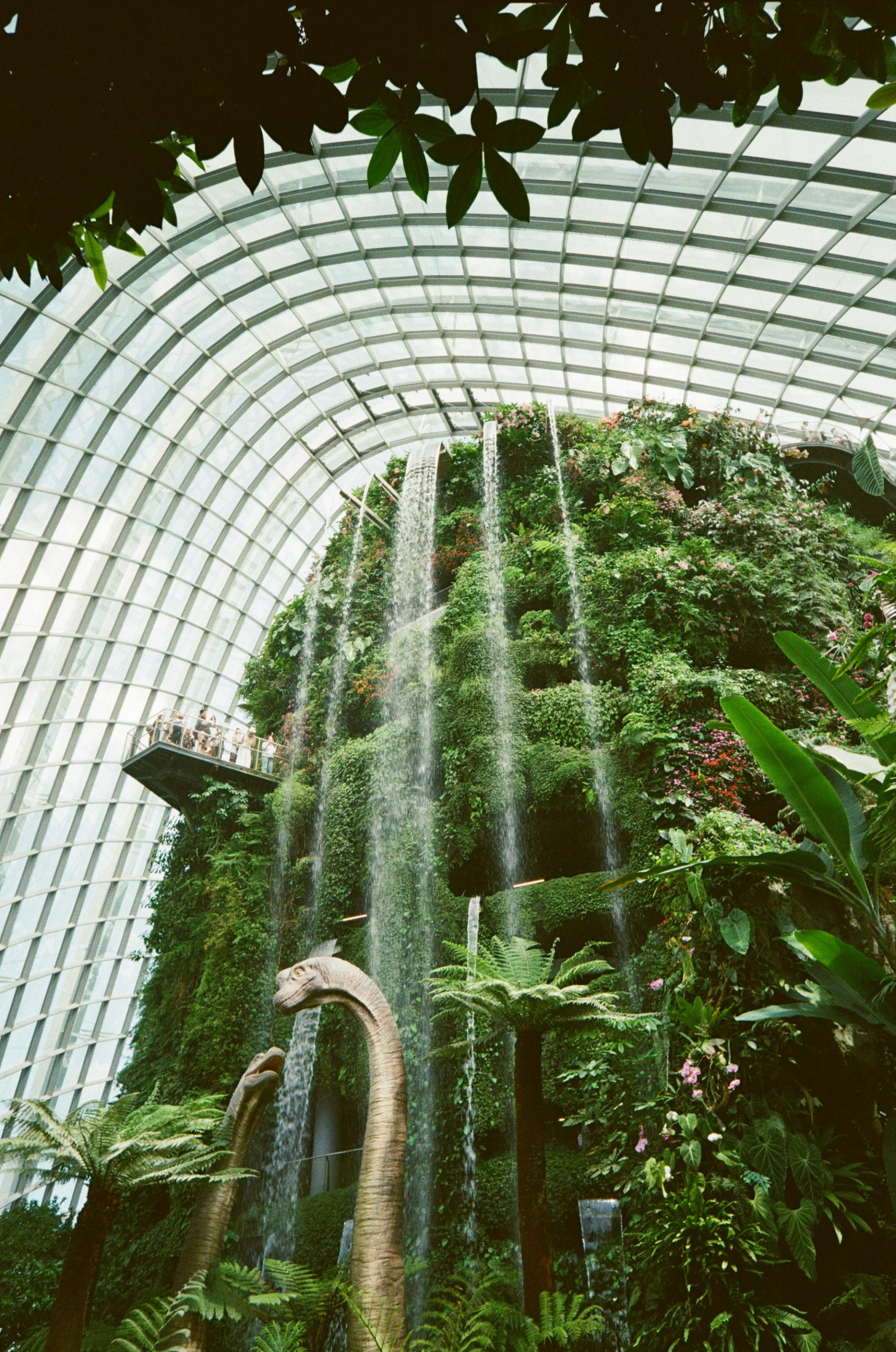 kodak_400_c_41_10209_123234_275569_000061340027.jpg