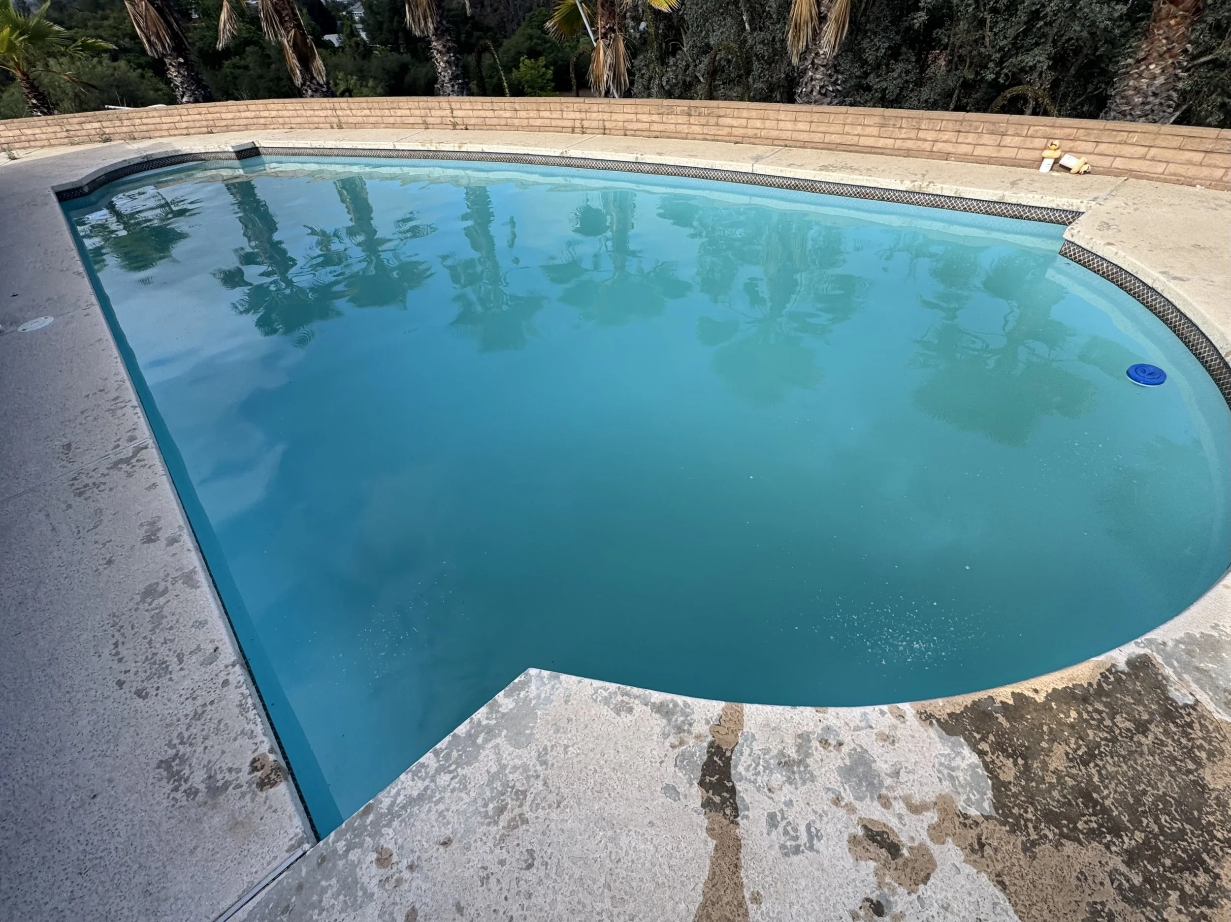 How to Fix a Cloudy Pool — What's Causing It and How to Clear It Up