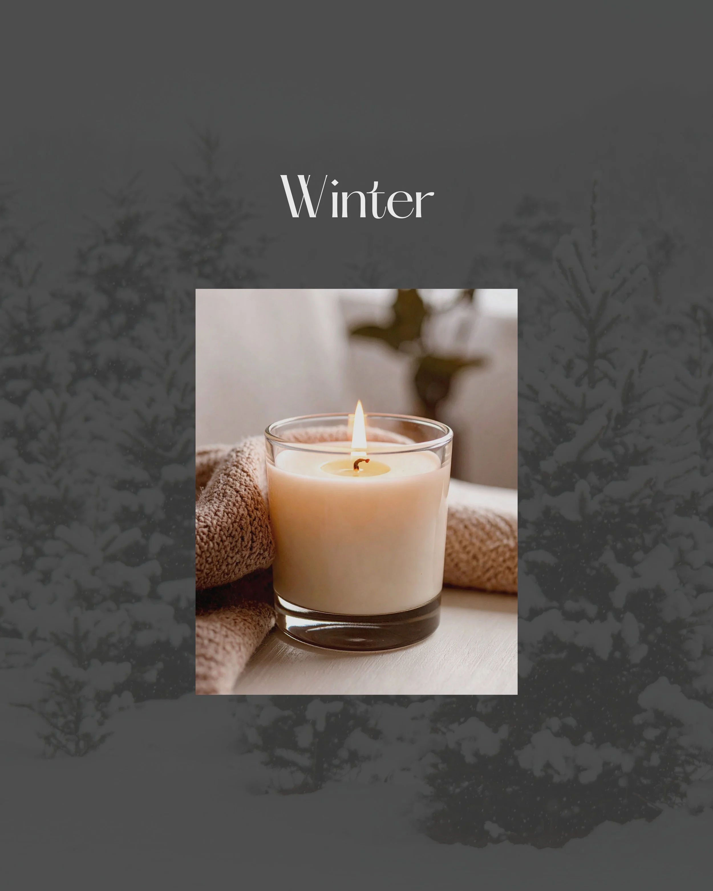 Winter Collection