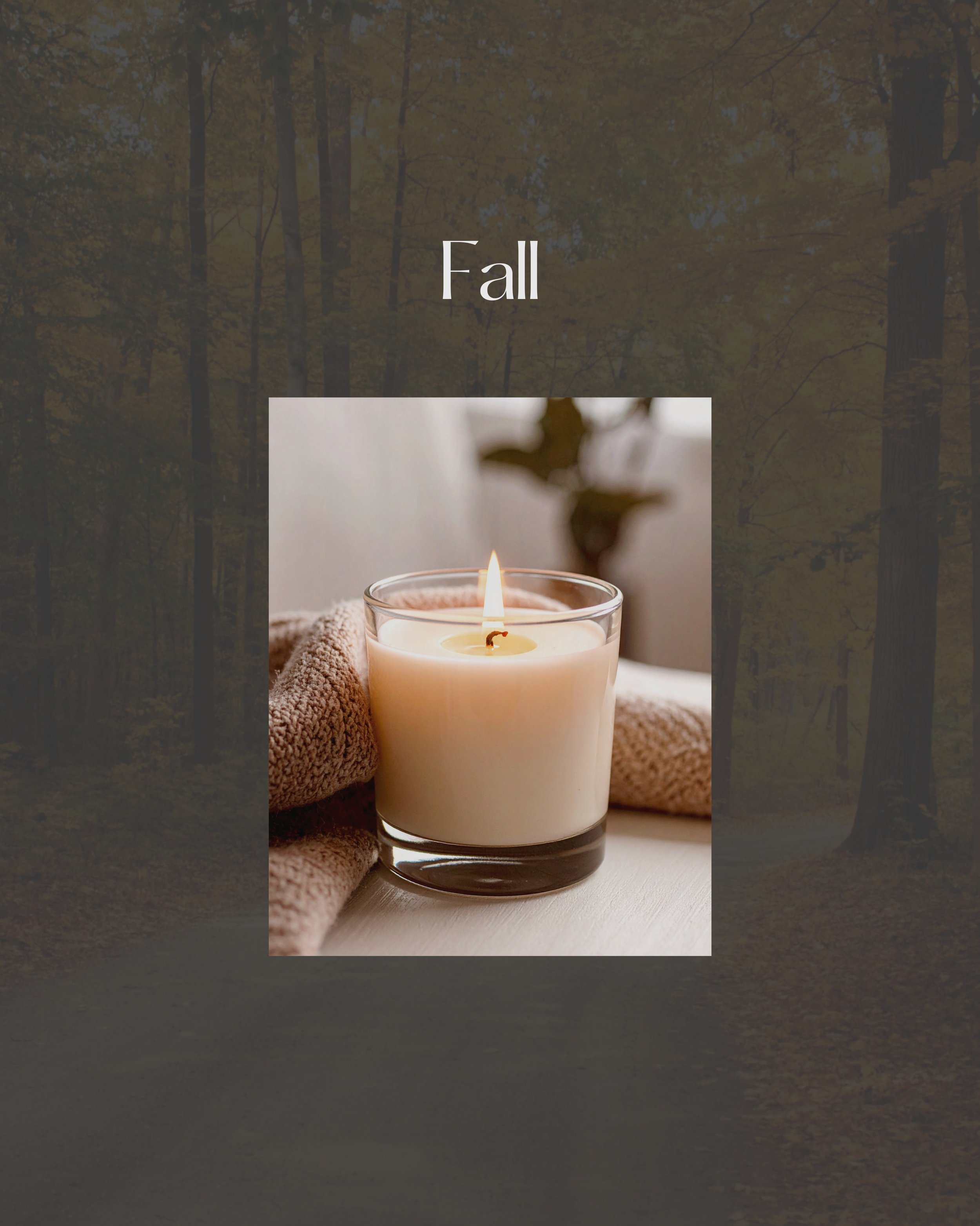 Fall Collection