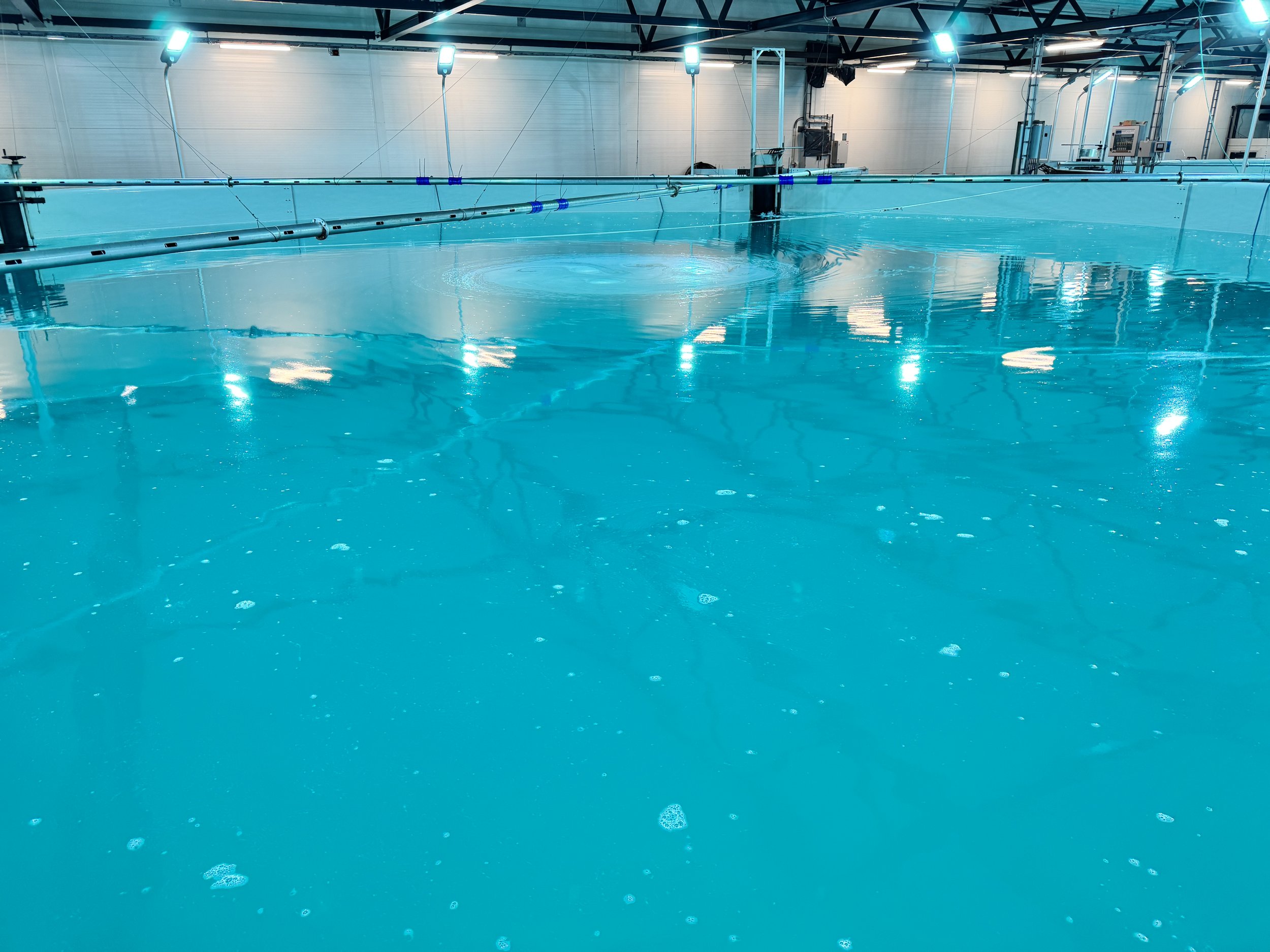 Kar med ozonert sjøvann