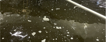 Vann med flytende papir og oppkuttet plastbiter