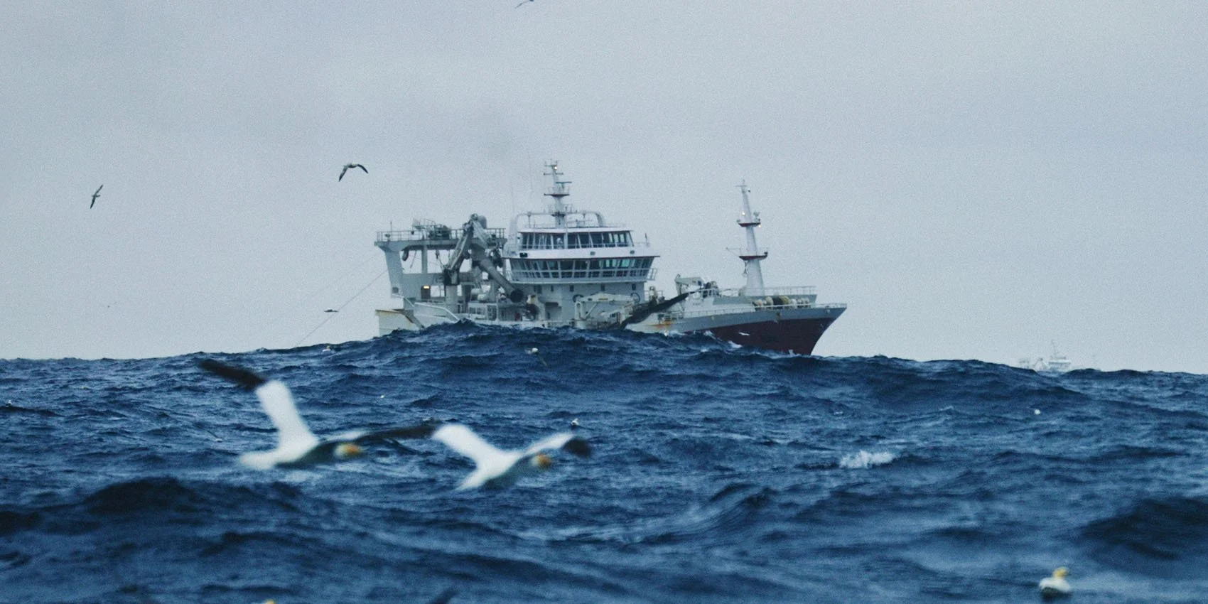 Service - akvakultur - fiskeri - fartøy