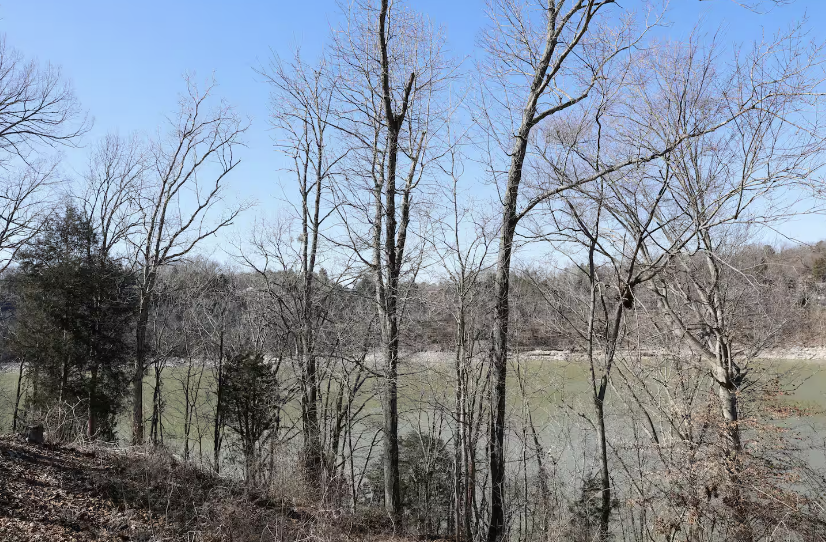 Screenshot 2025-12-26 at 2.19.22 PM.png