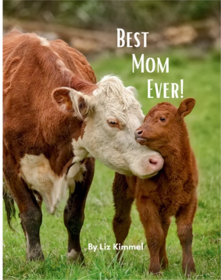 Best Mom Ever front.jpg