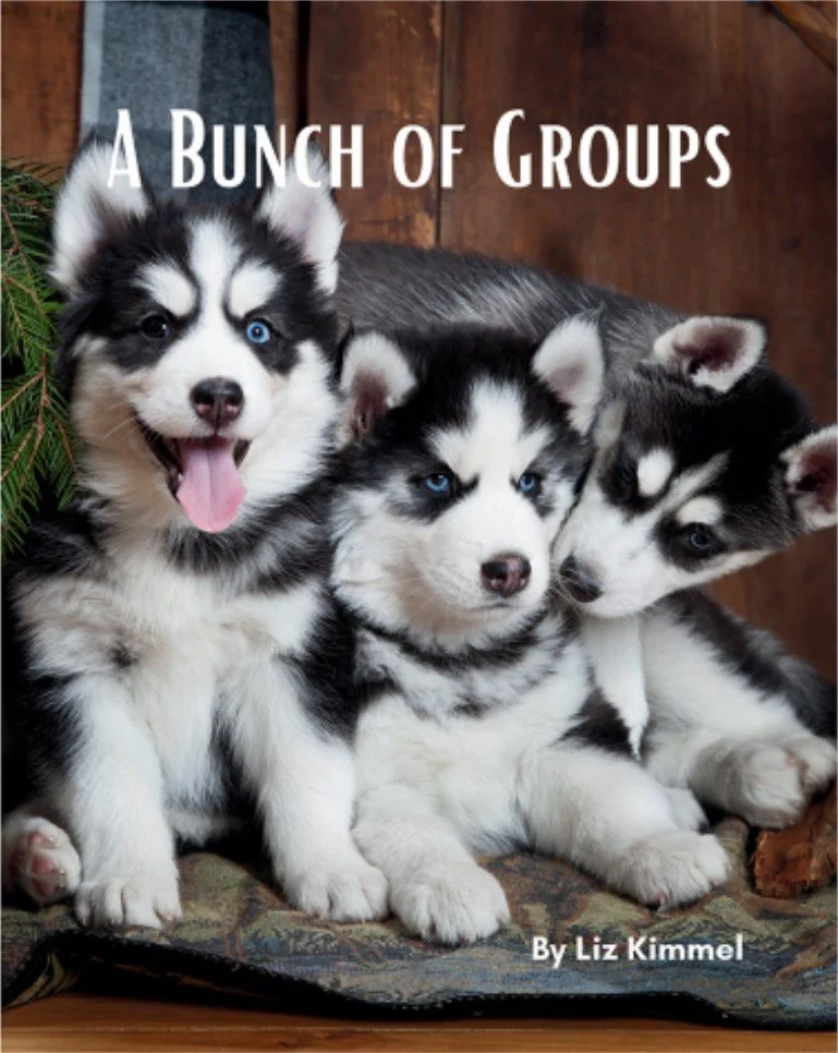 A Bunch of Groups front.jpg