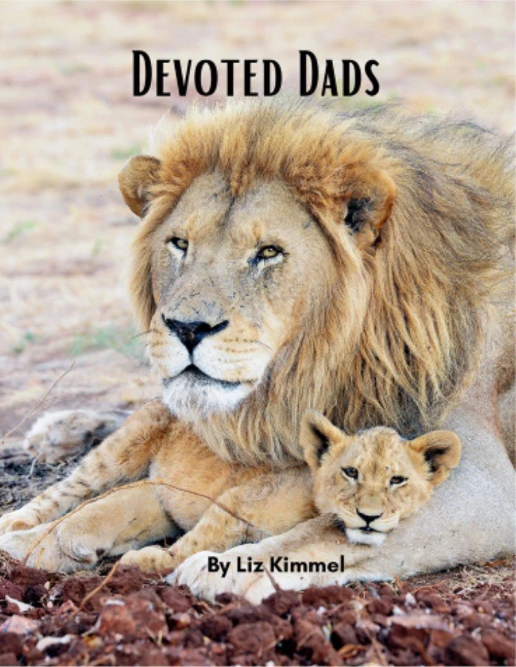 Devoted Dads front.jpg