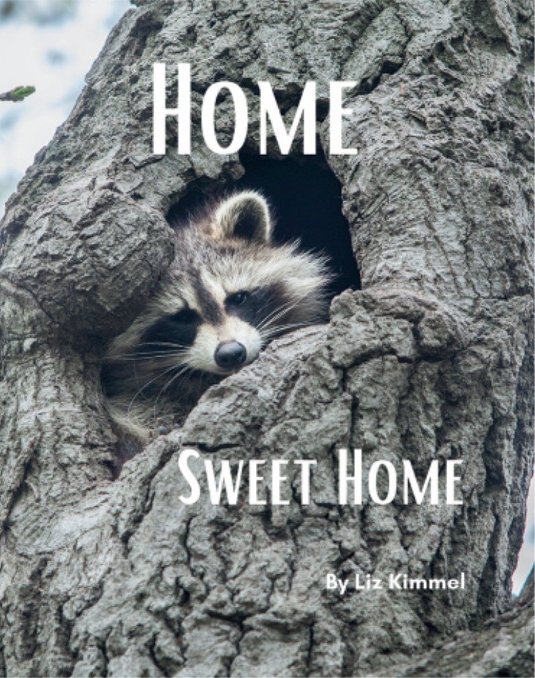 Home Sweet Home front.jpg