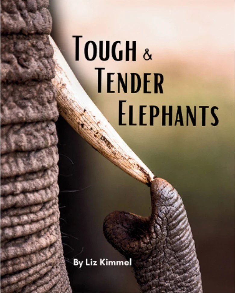 Tough & Tender Elephants front.jpg