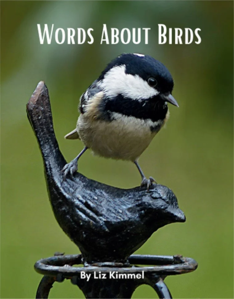 Words About Birds front.jpg