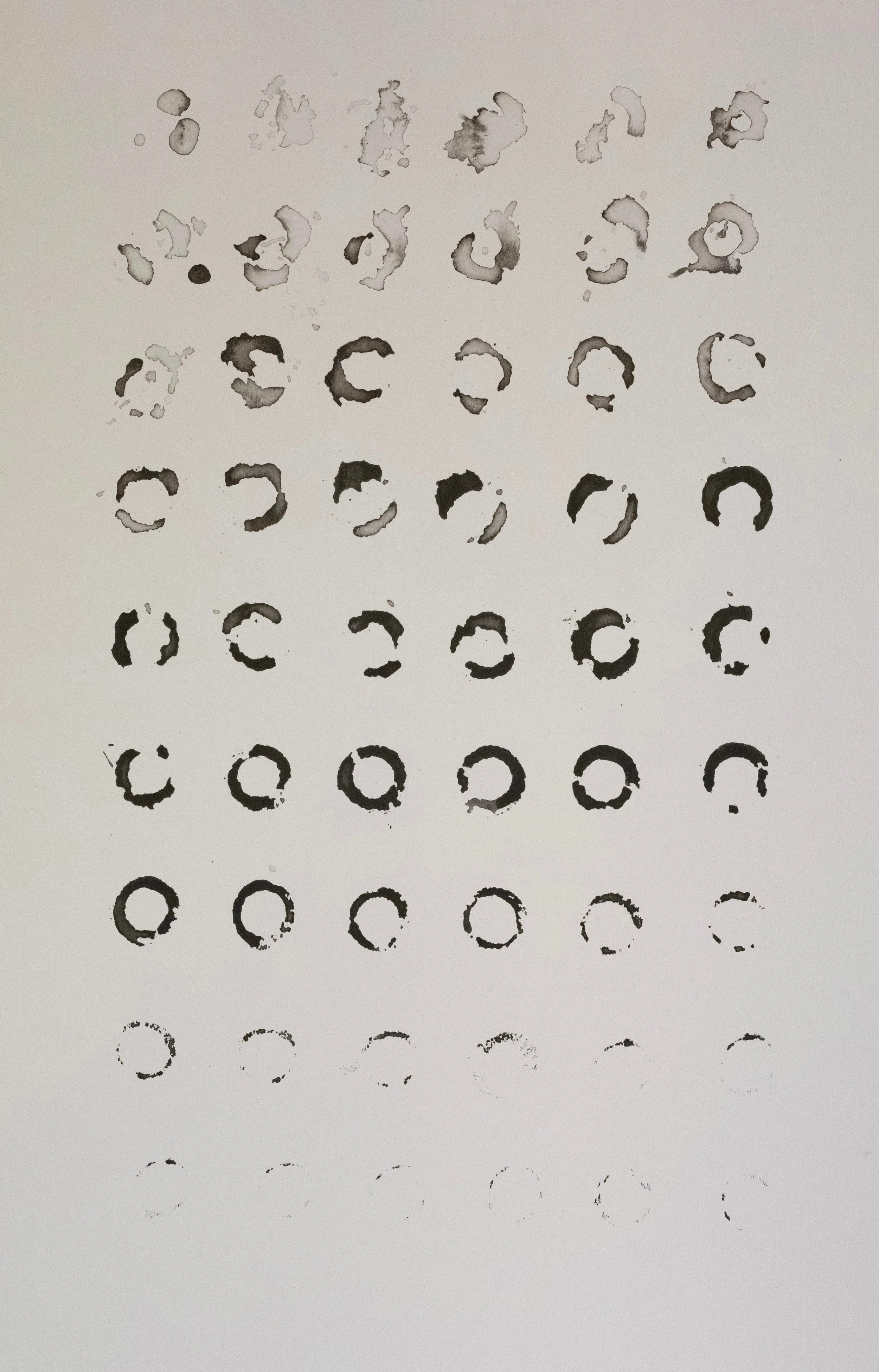 open fretwork: paige davis - confloptus oakland