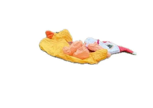 writing day: continue(unfinished) - whp vallejo