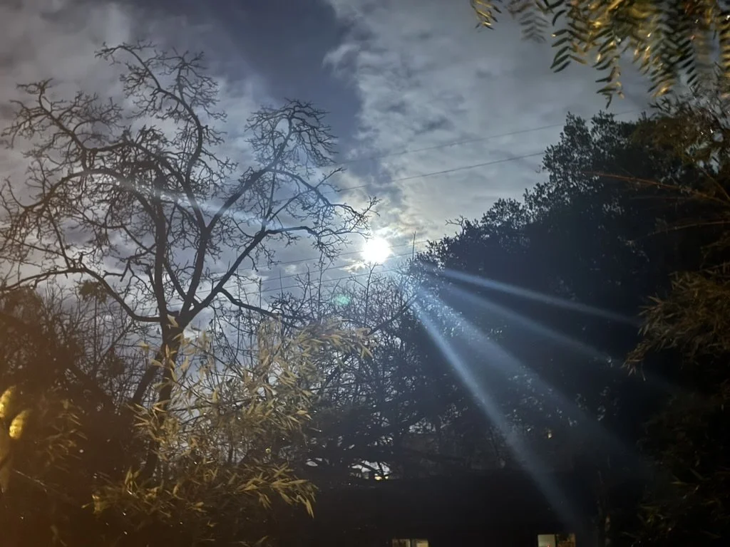 nathan wheeler: winslow suites - whp vallejo