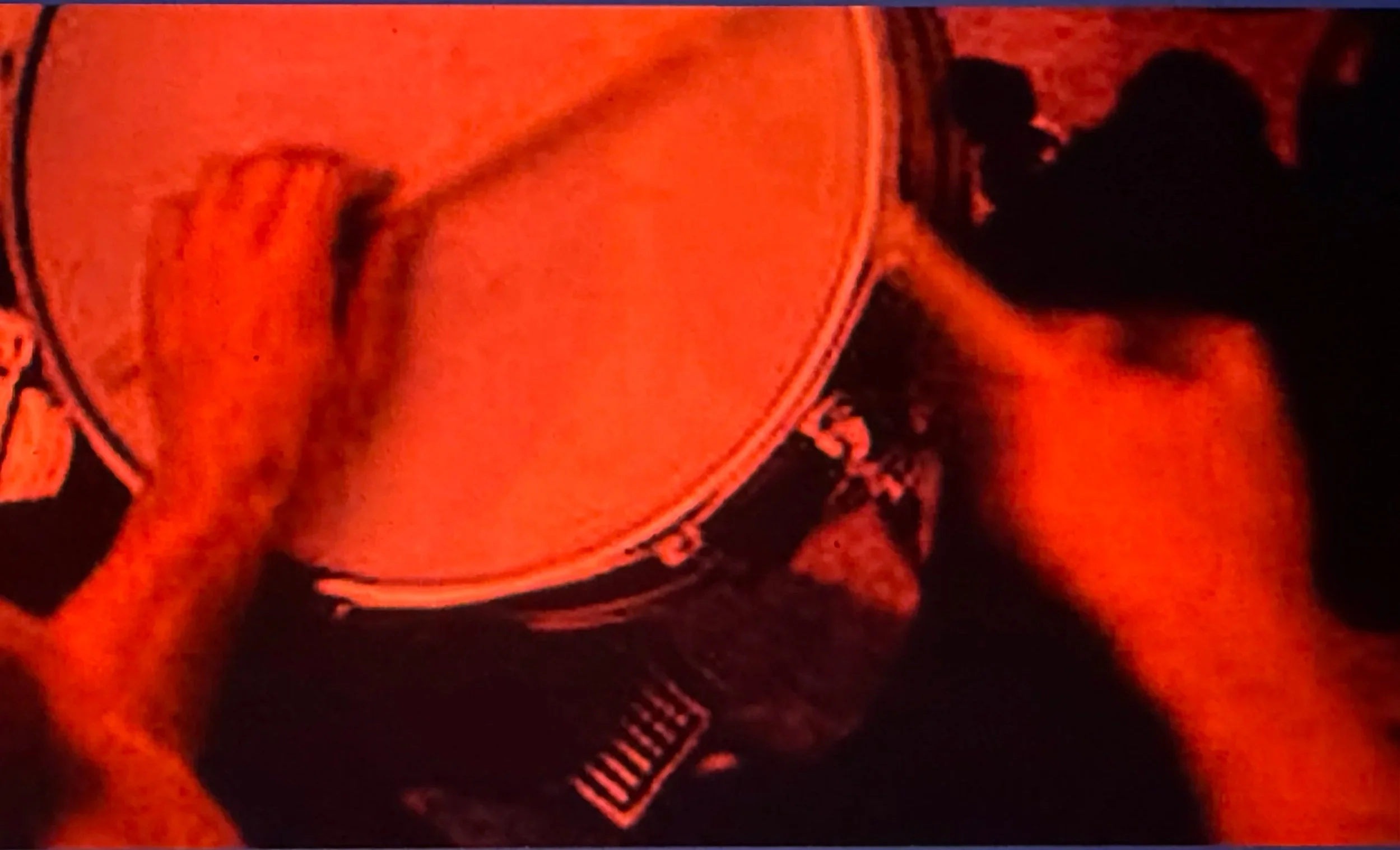 moe staiano - whp vallejo