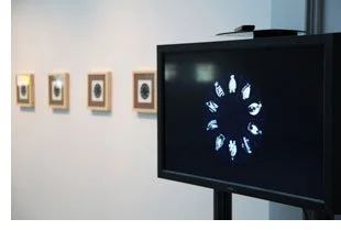 red dot film series: mark wilson - whp vallejo