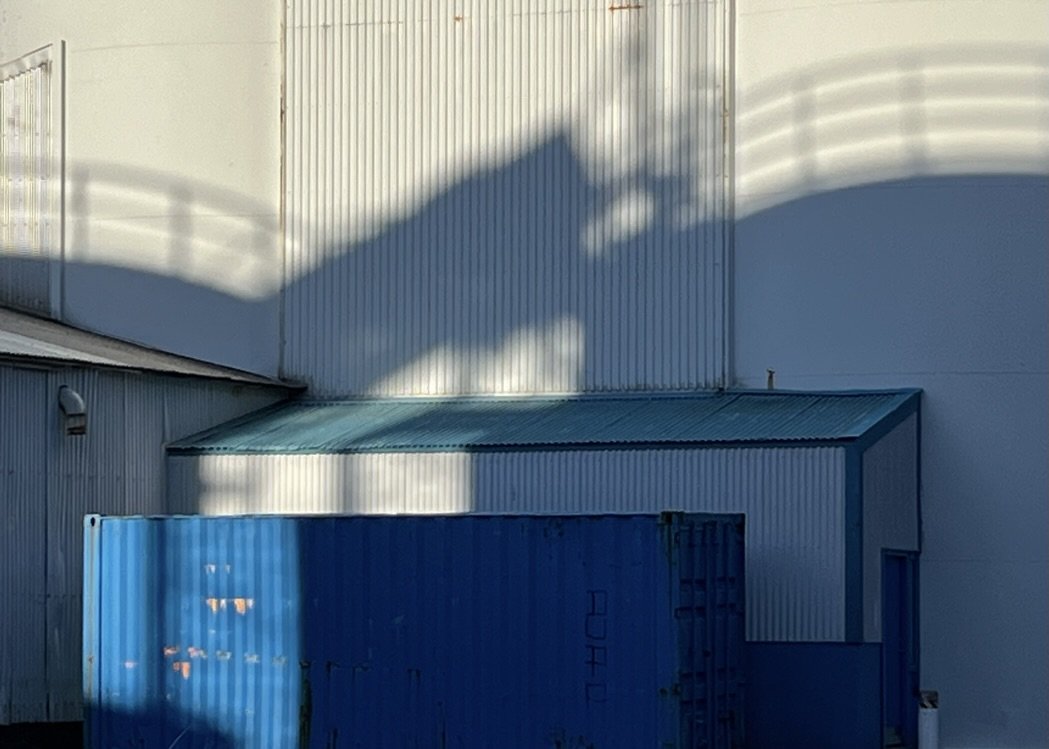 bill basquin - confloptus oakland