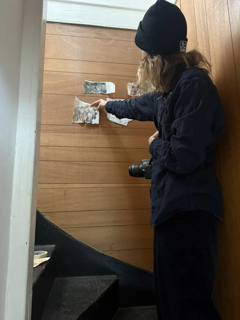 hannah möller - confloptus oakland