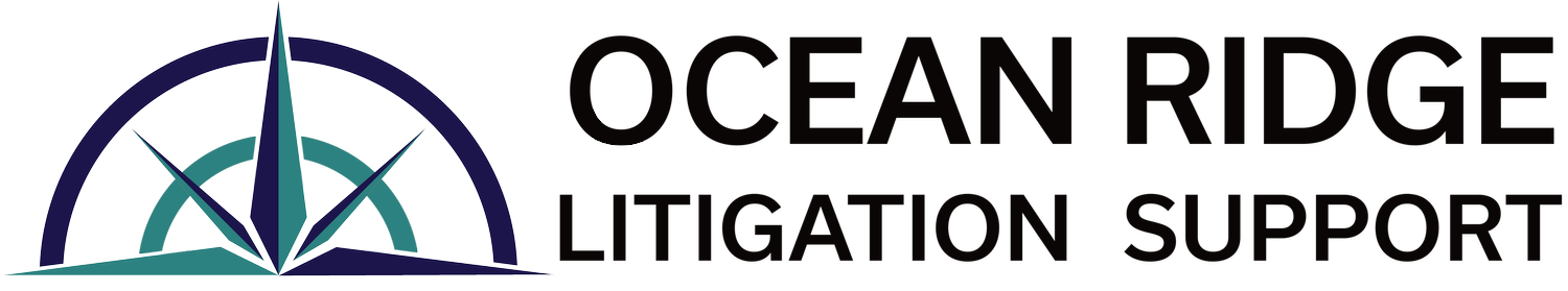 Litigation Support and Expert Witness