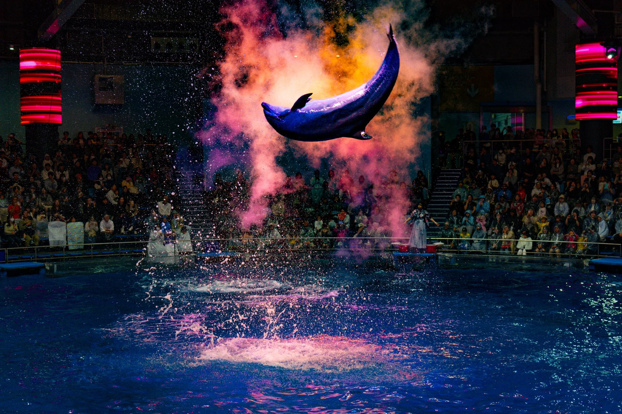 🐬💍🚇🥩🪐