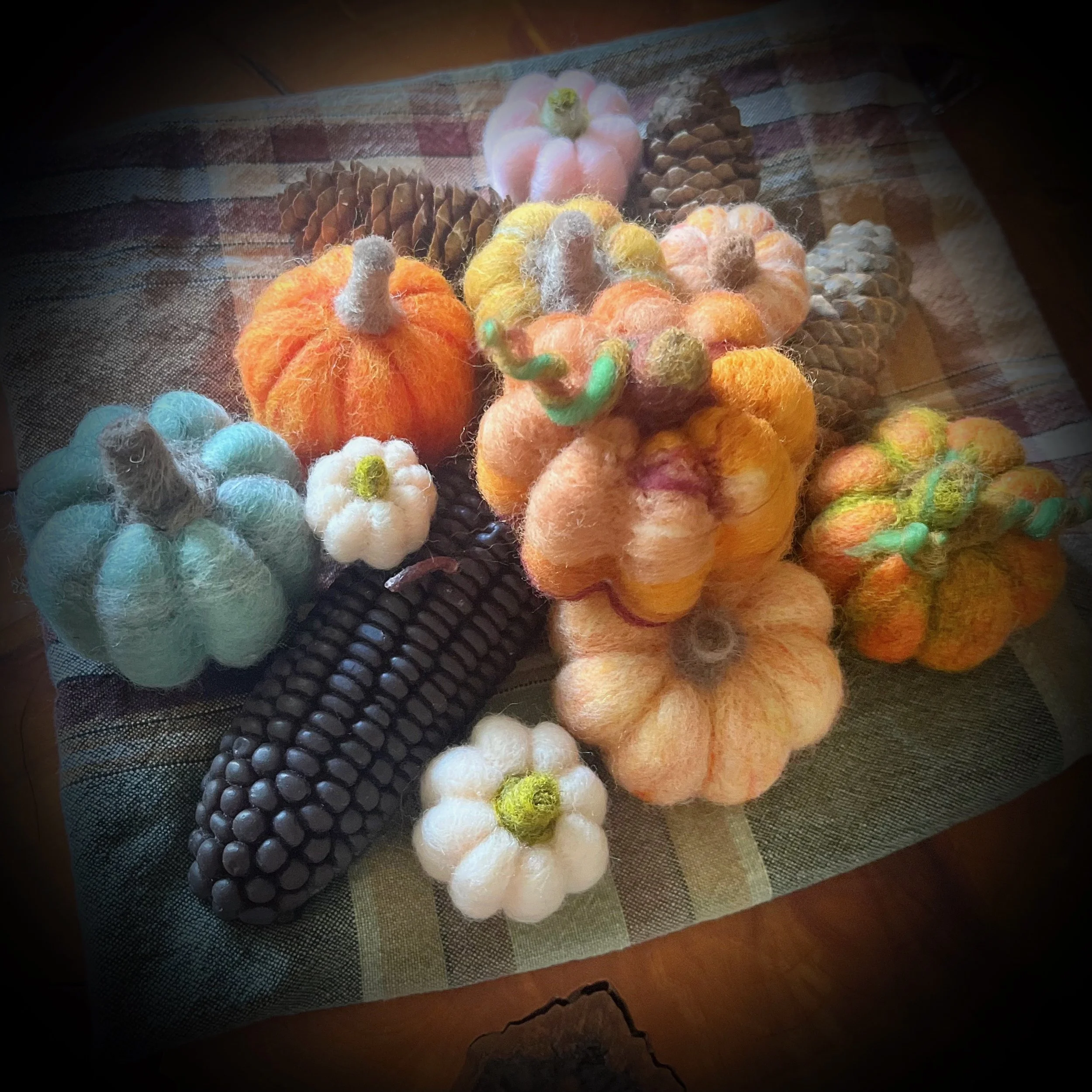 bunch of little pumpkins.jpeg