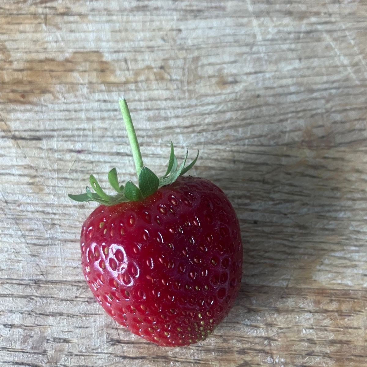 Strawberry.jpg