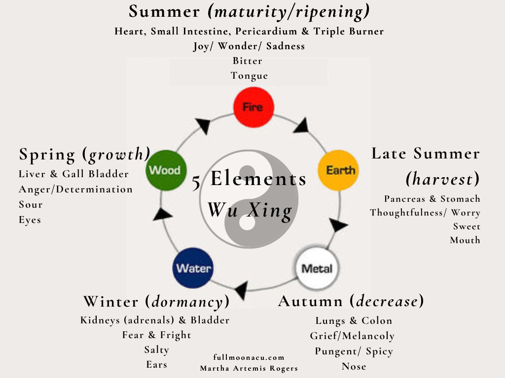 Renewal Autumn Session 2024.png
