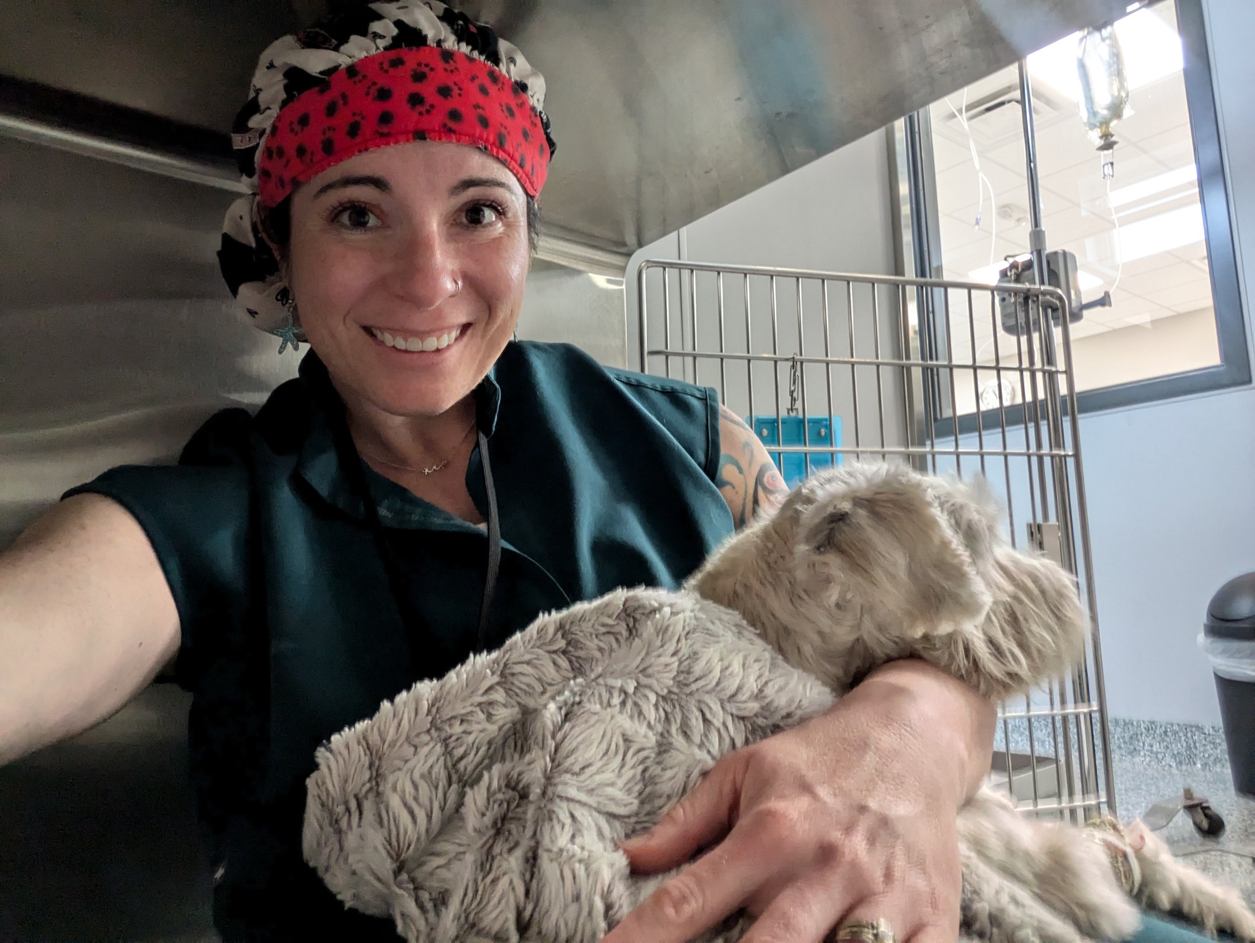 7 Ways to Celebrate National Pet Week
