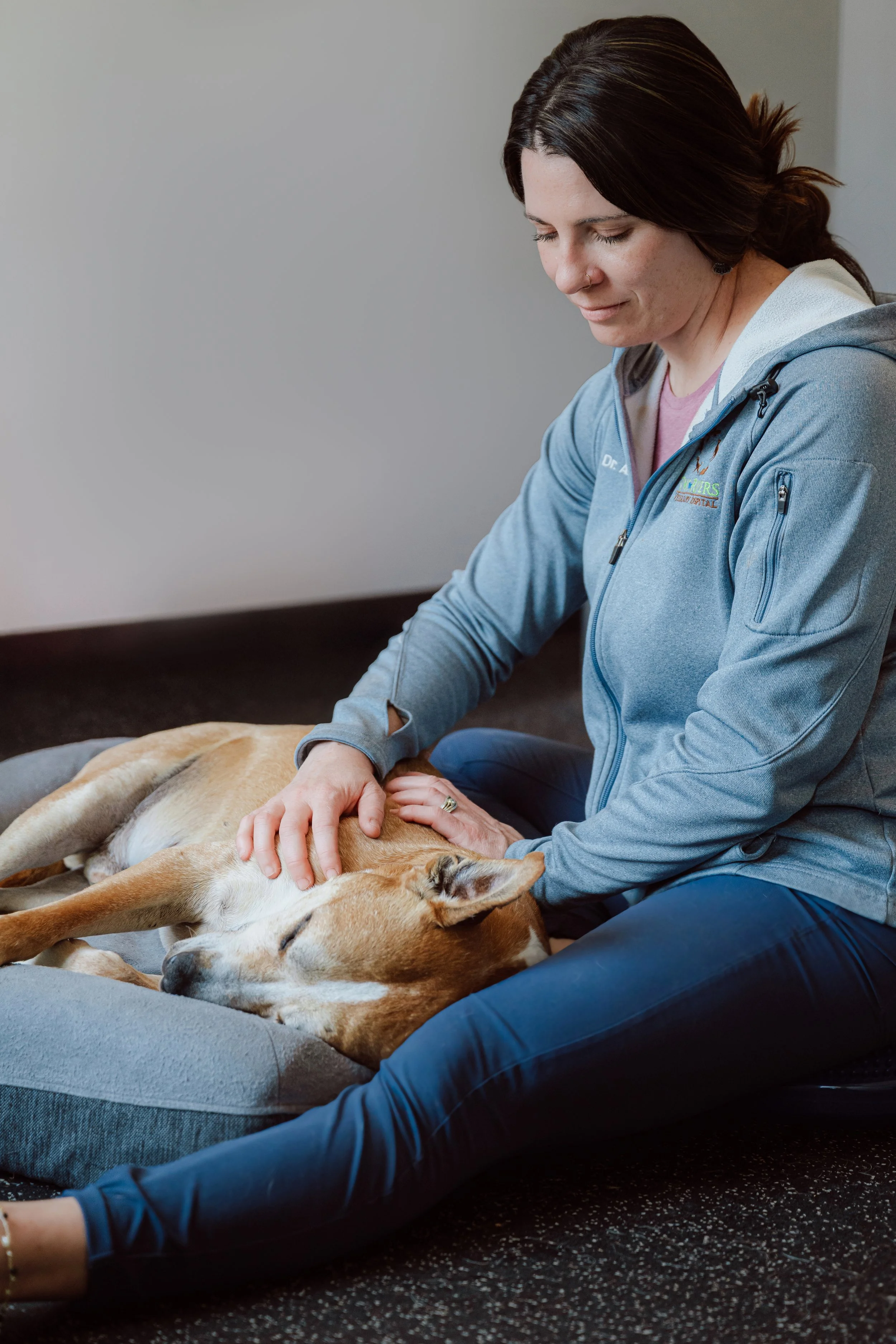 A dog lay on its side on a dog bed with a person performing gentle massage over his shoulder.