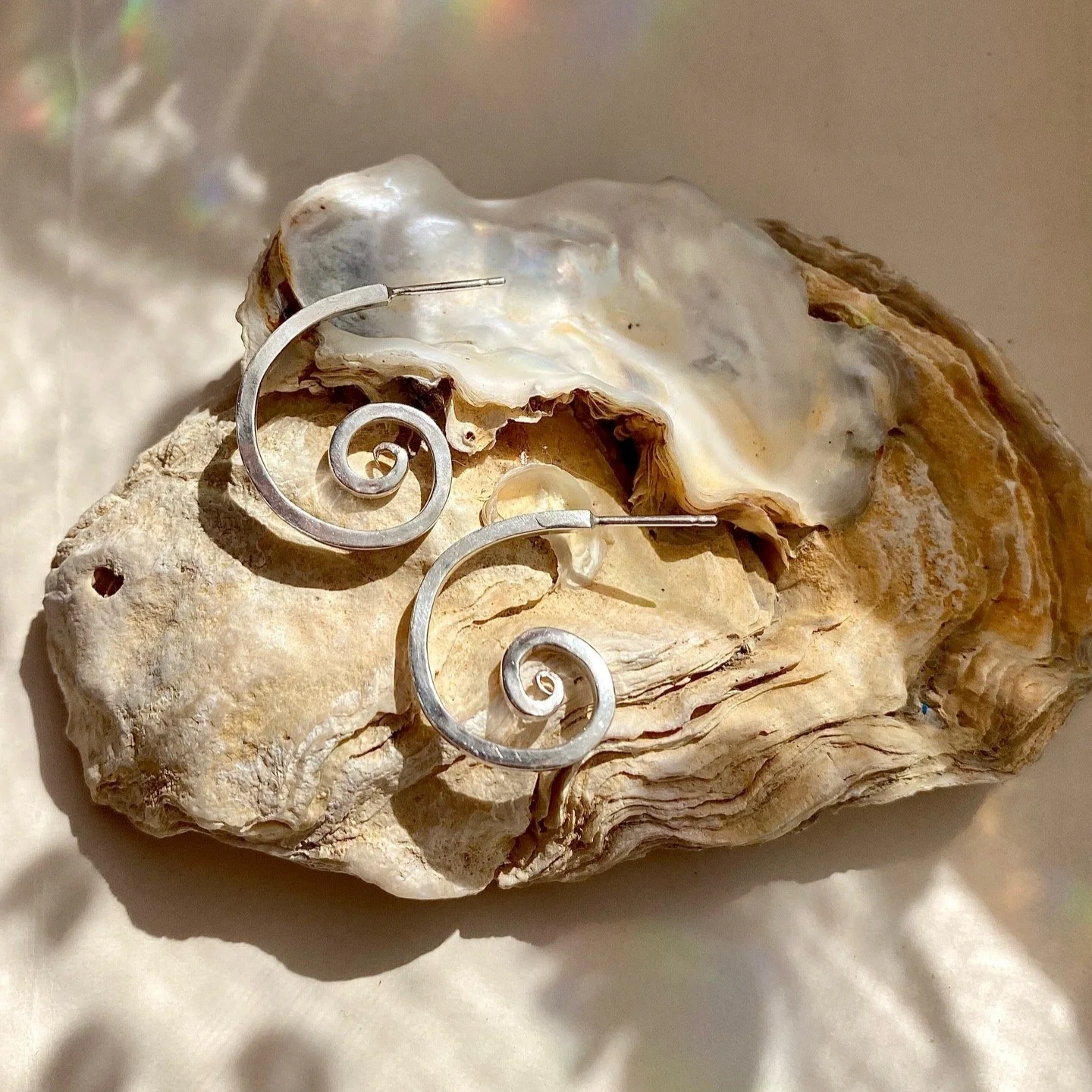 square+profile+spiral+hoops+on+shell.png
