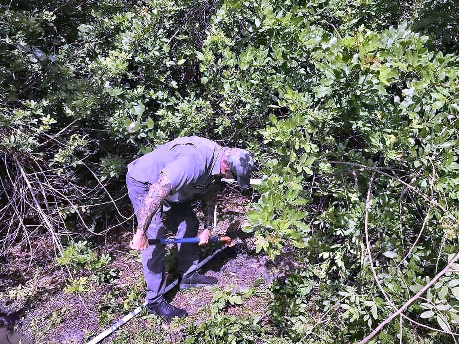 Master plumber digging to replace a well water line in Lee County, FL