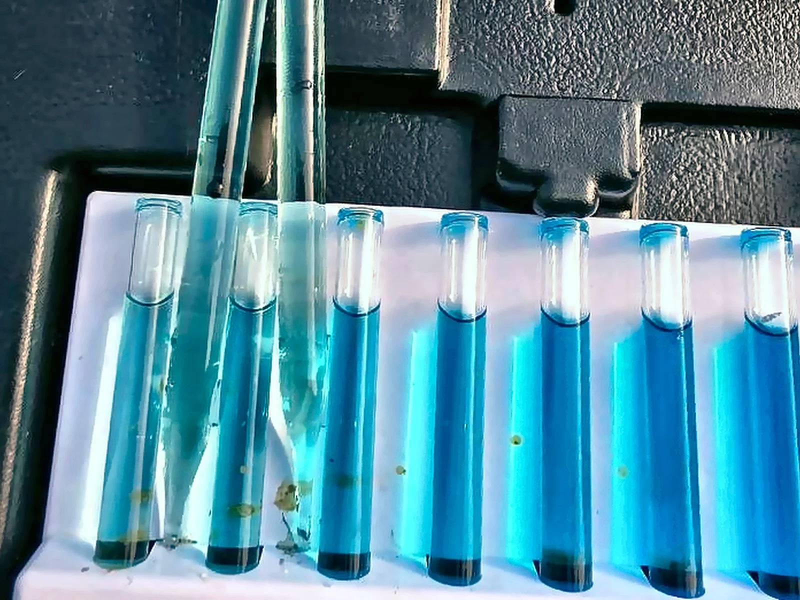 On-site well water test for sulfur, iron and hardness in Lee County, FL