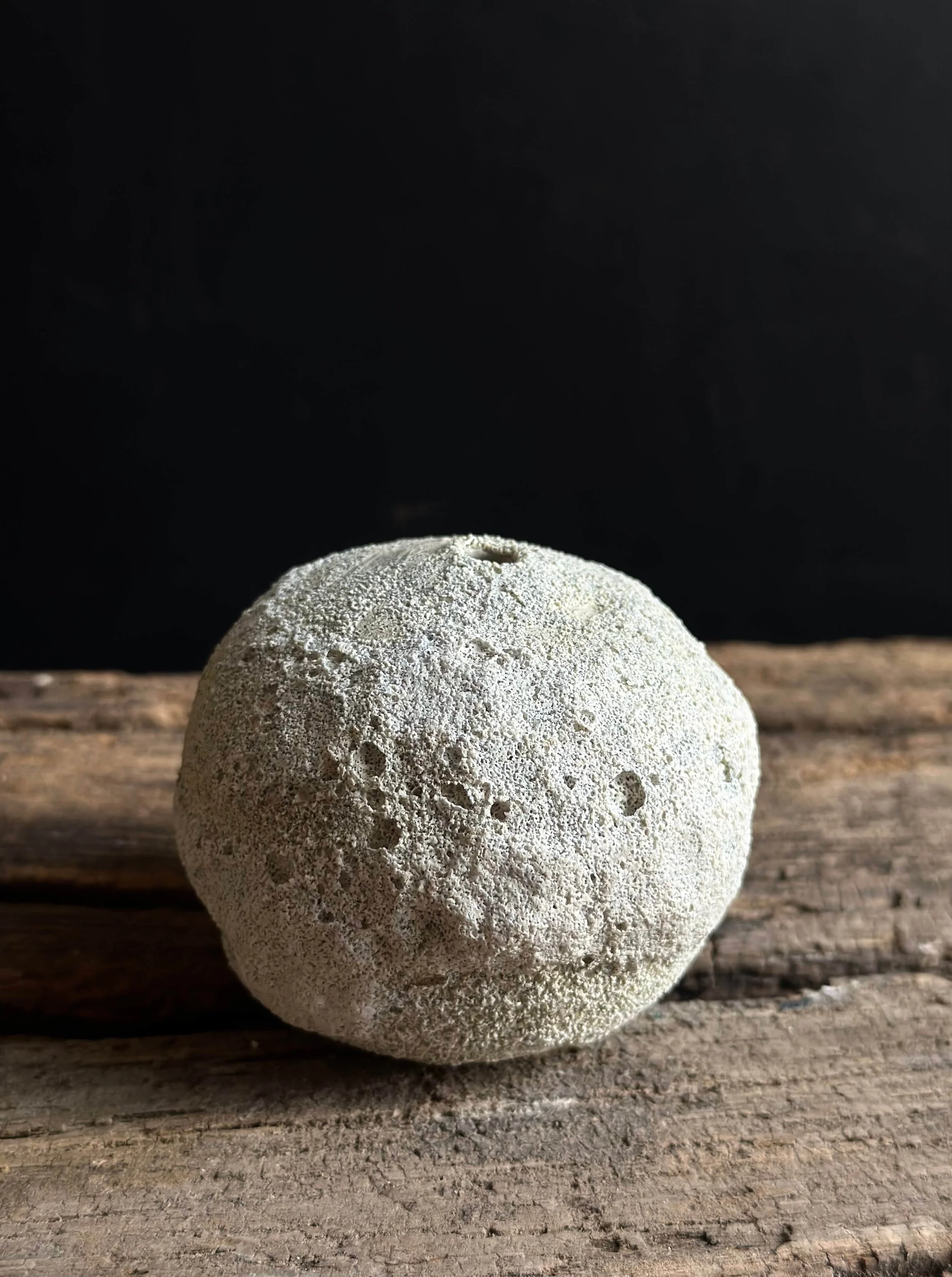 organic modern style.jpeg