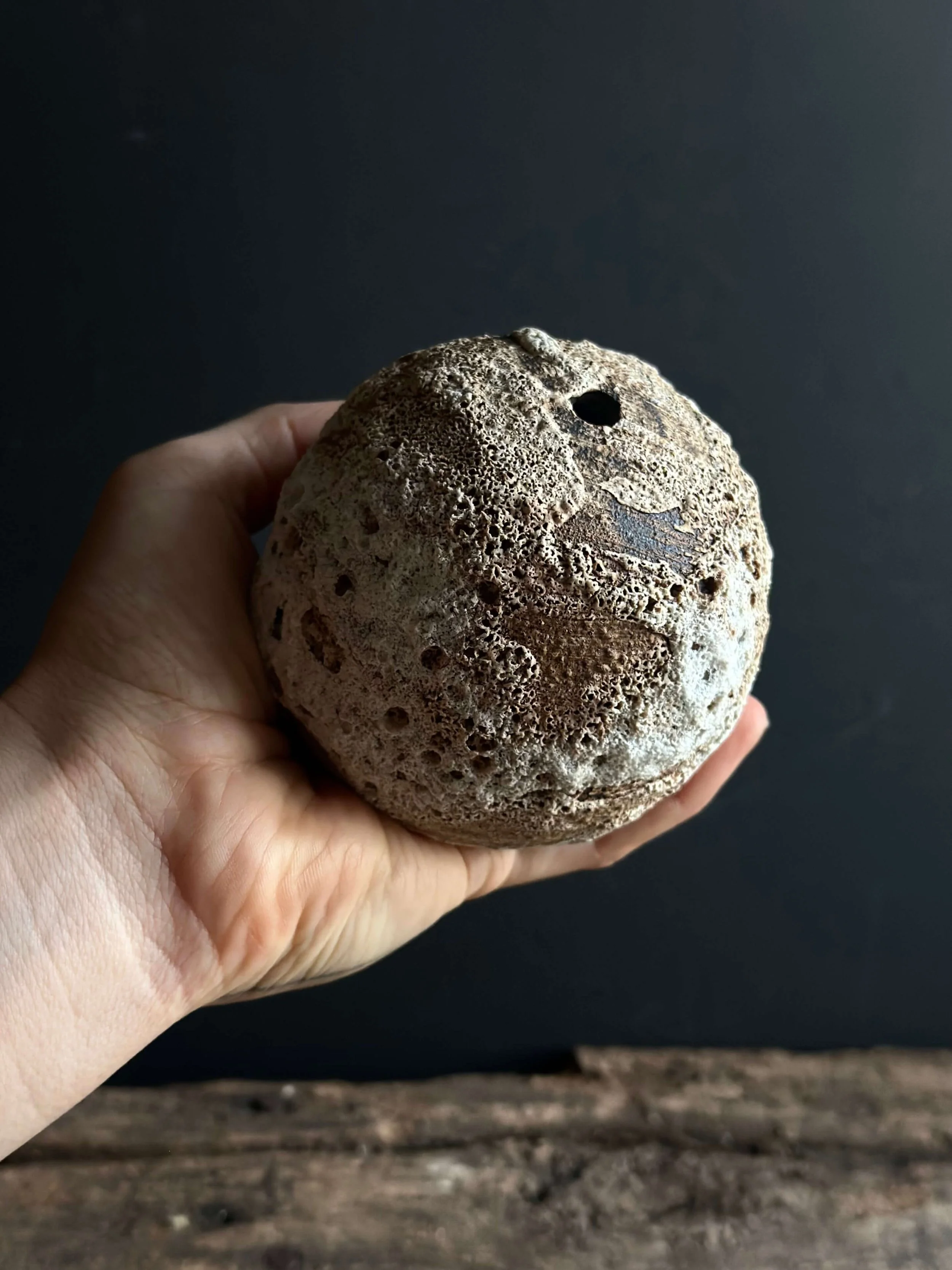 calming earthy space.jpeg