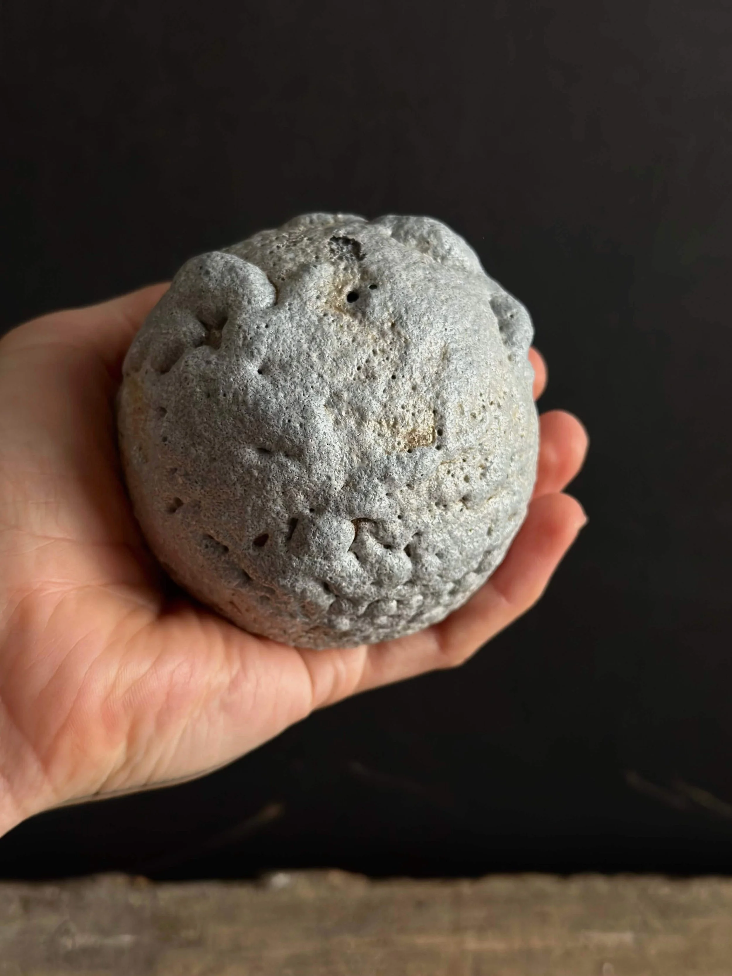 natural modern decor.jpeg