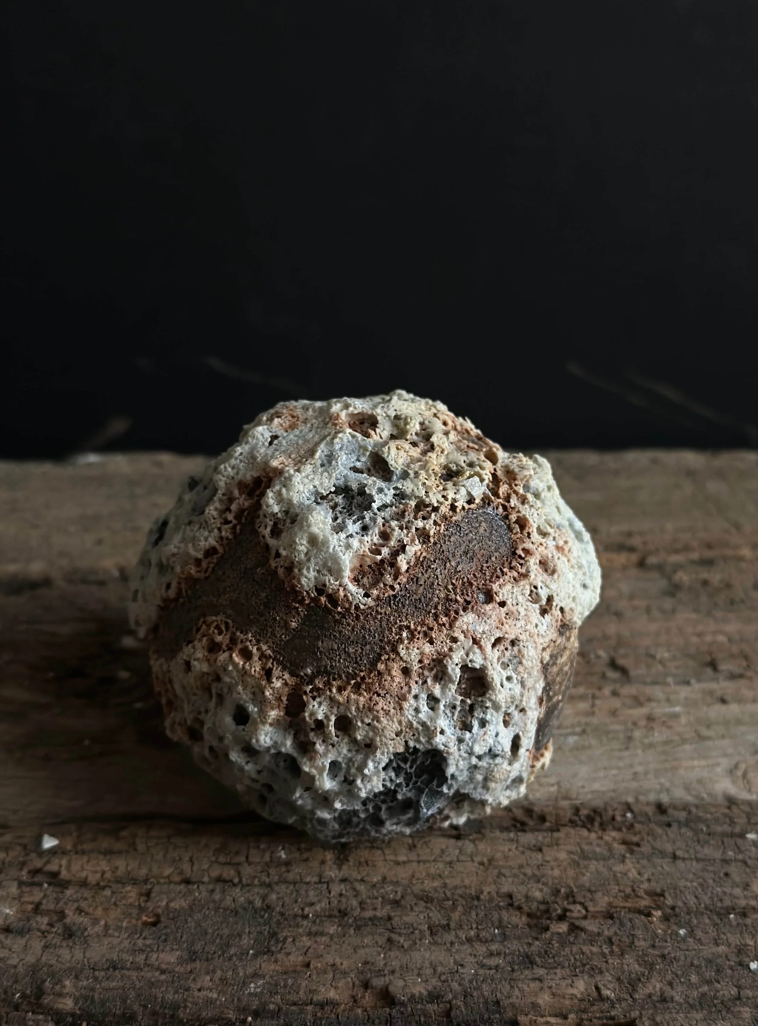 design-forward home.jpeg