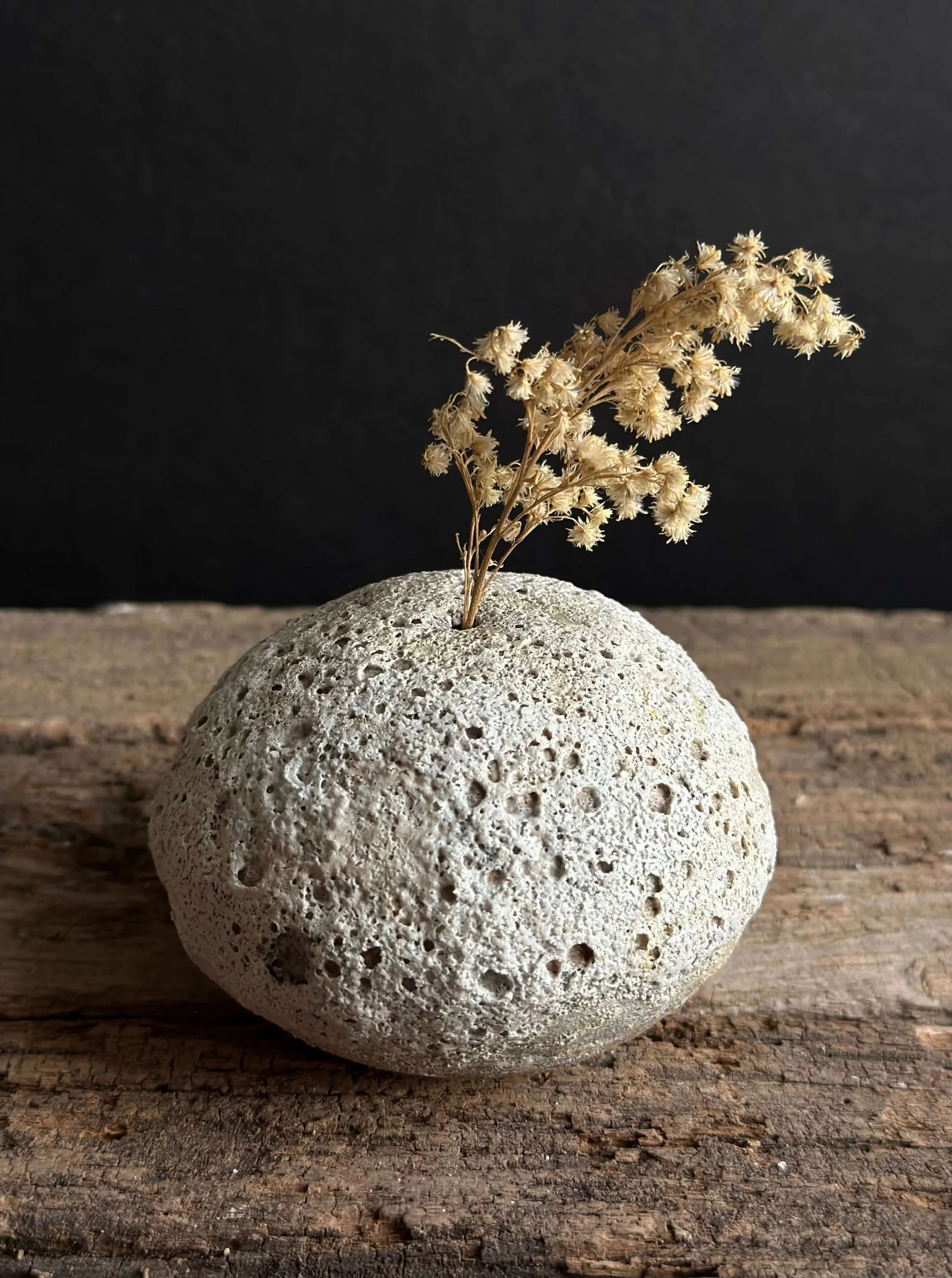 organic modern style.jpeg