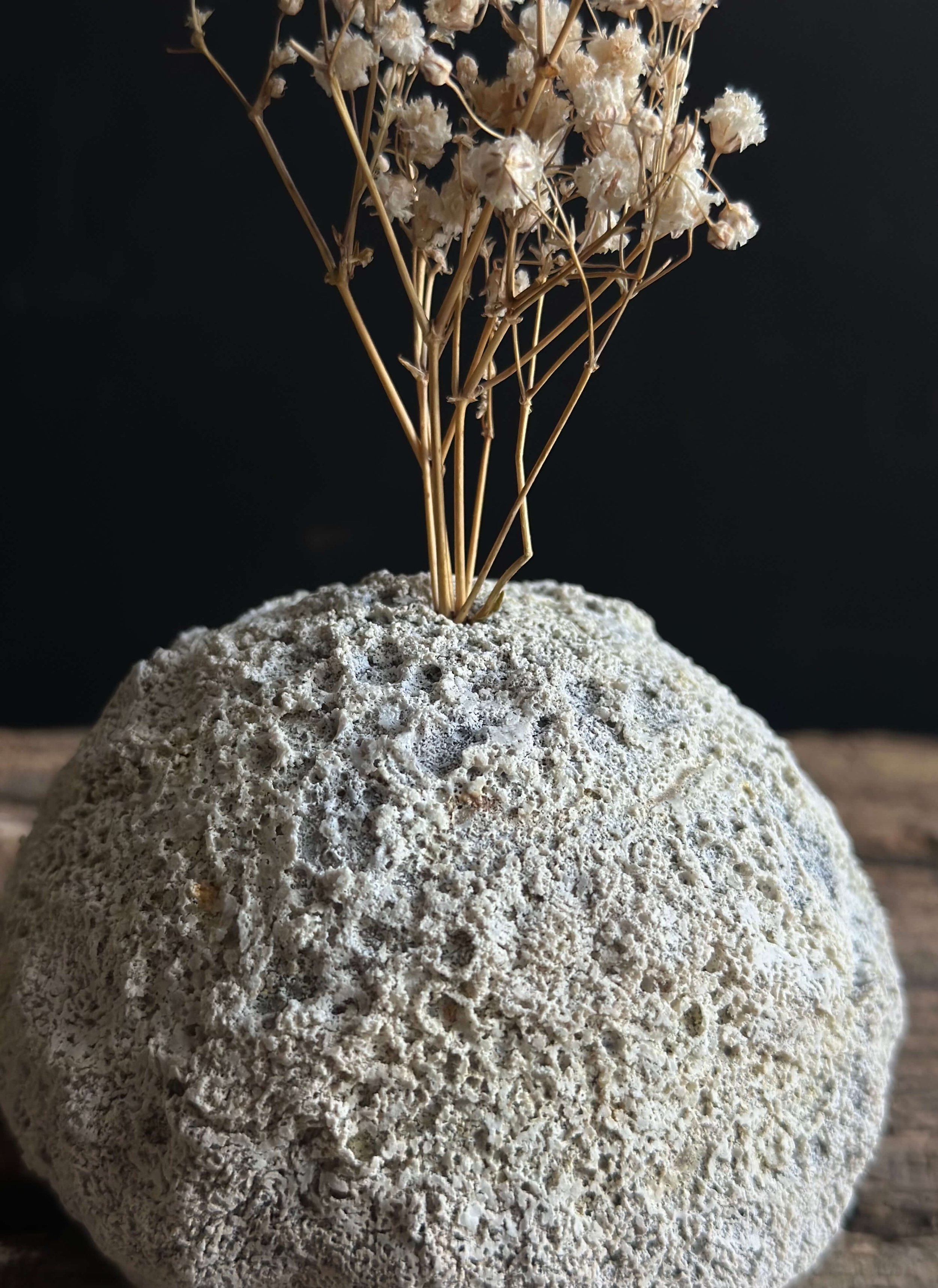 organic modern style.jpeg