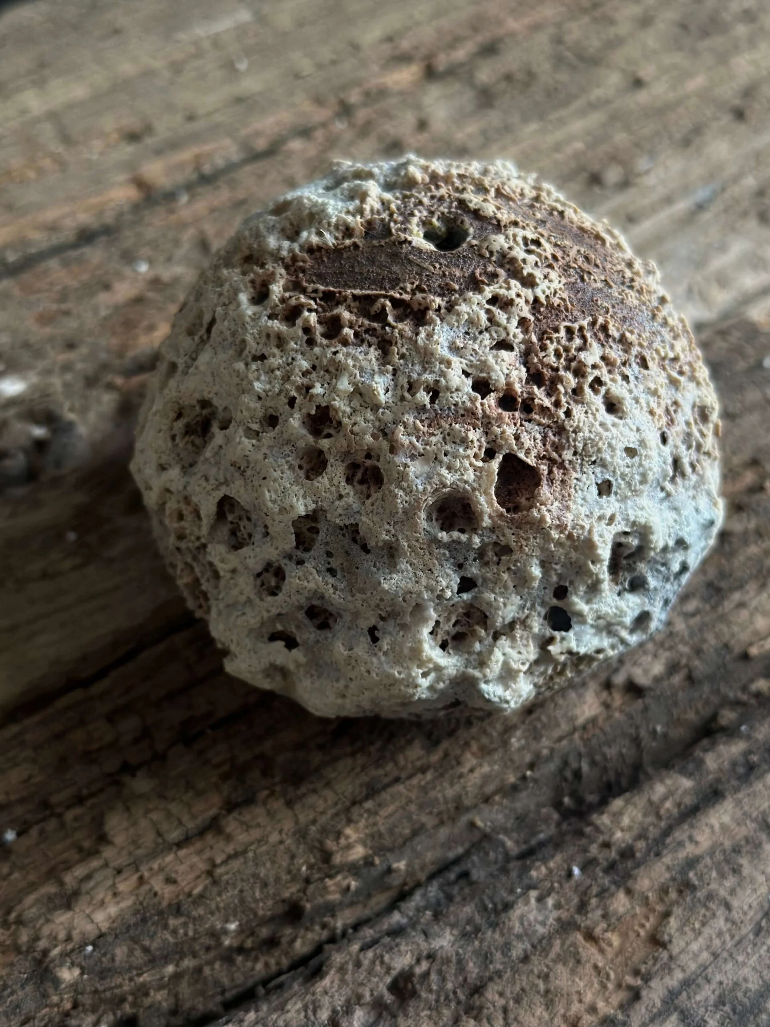 rustic modern interiors.jpeg