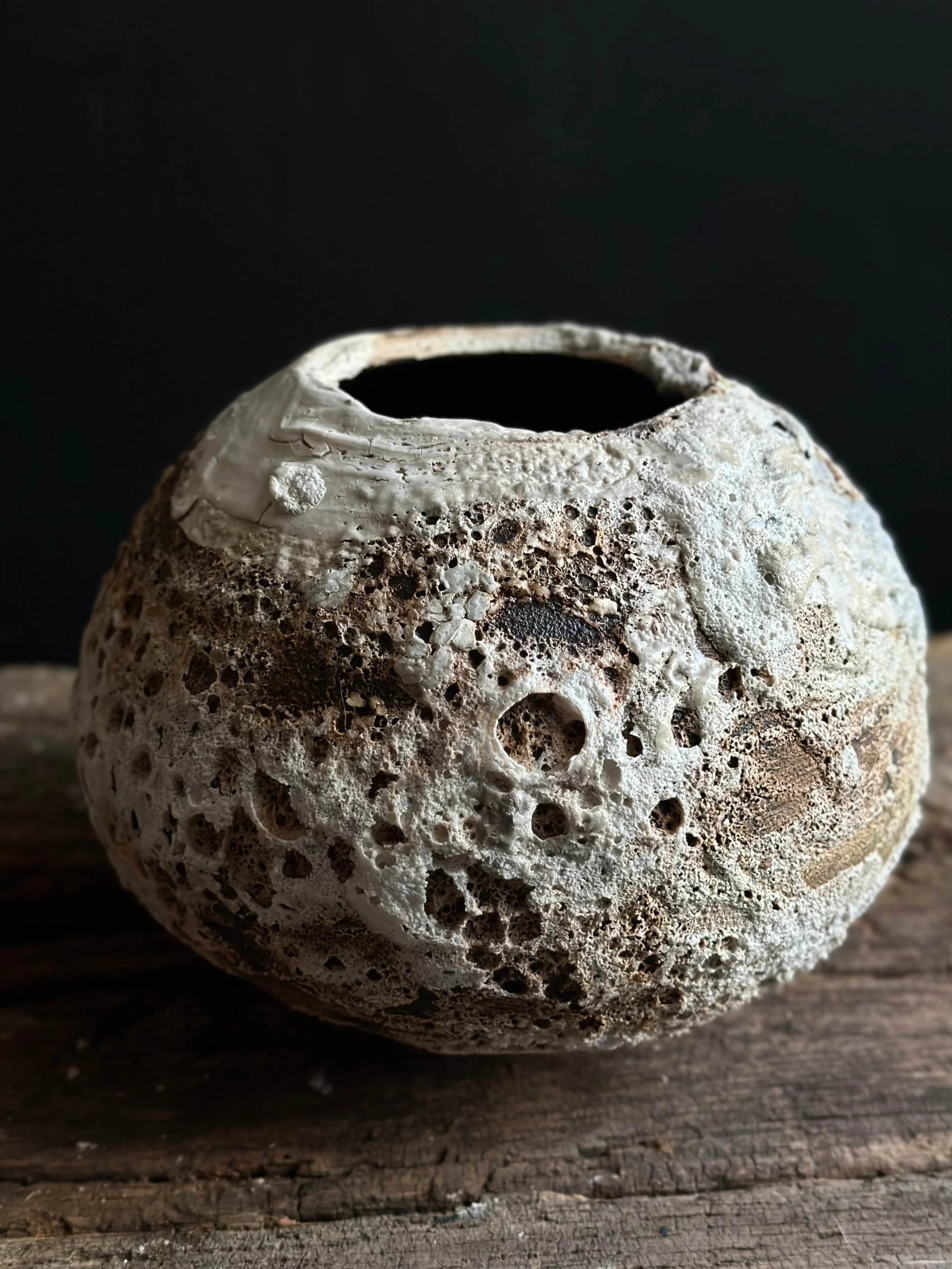 natural modern decor.jpeg